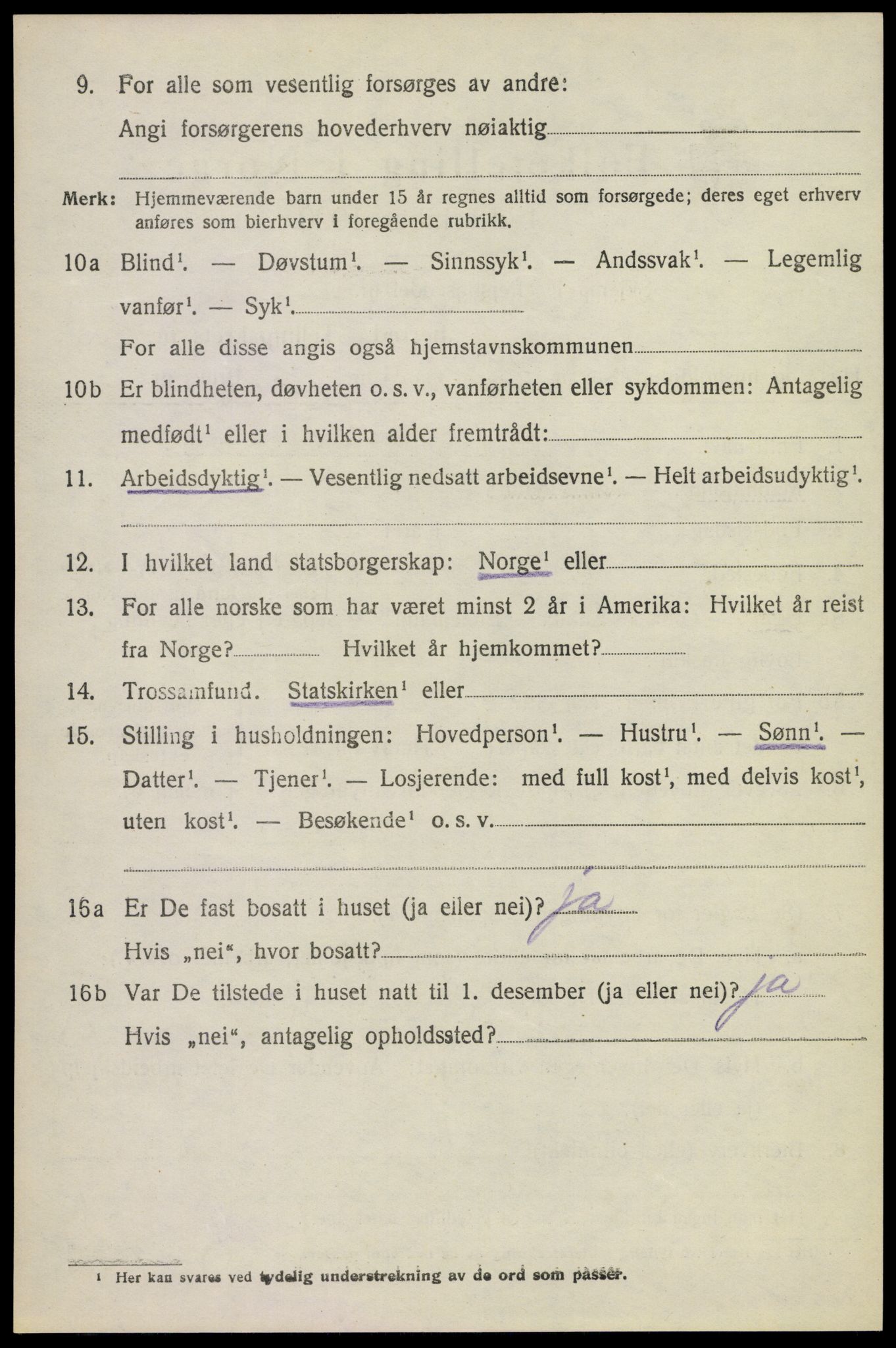 SAKO, 1920 census for Krødsherad, 1920, p. 1160