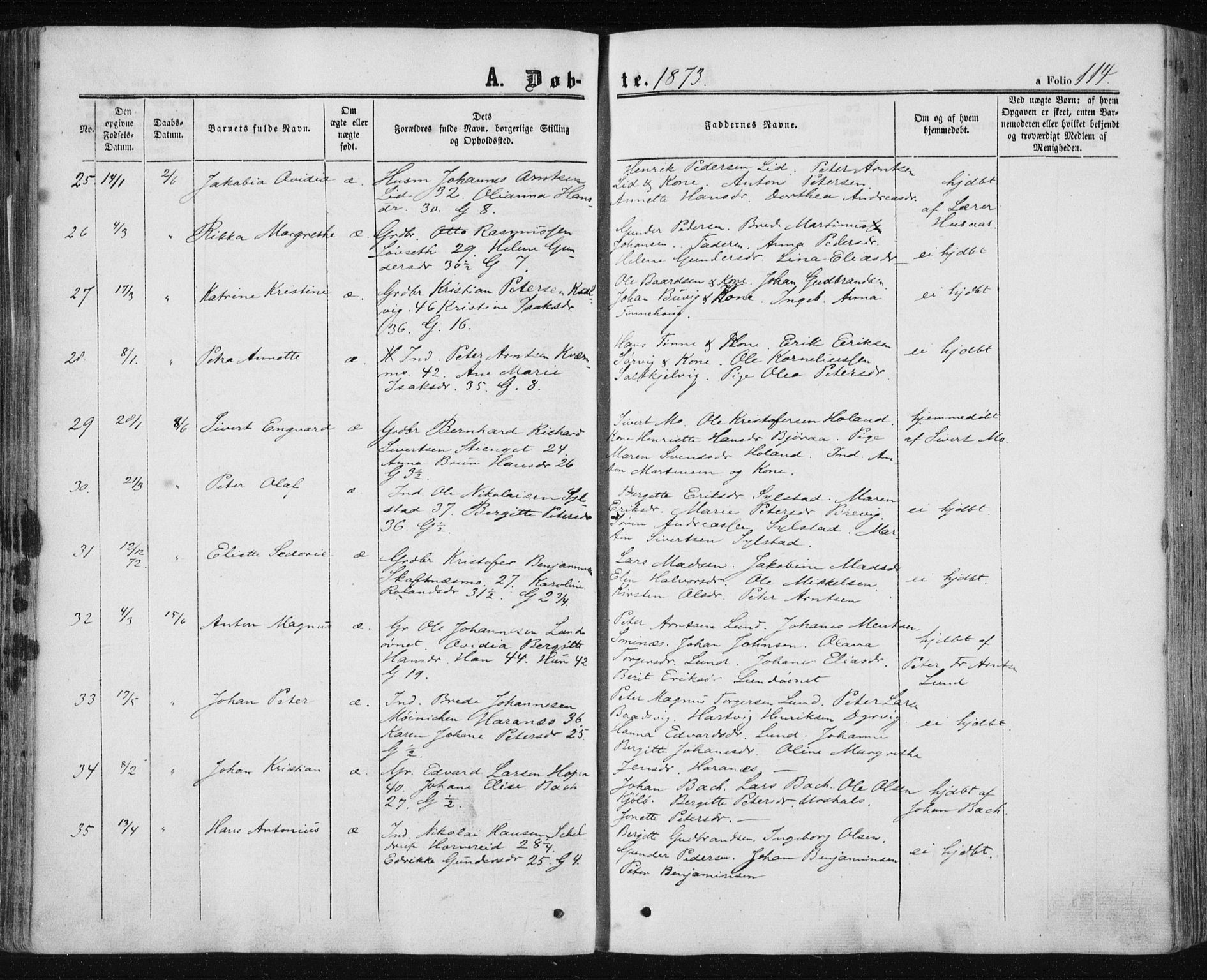 Ministerialprotokoller, klokkerbøker og fødselsregistre - Nord-Trøndelag, AV/SAT-A-1458/780/L0641: Parish register (official) no. 780A06, 1857-1874, p. 114