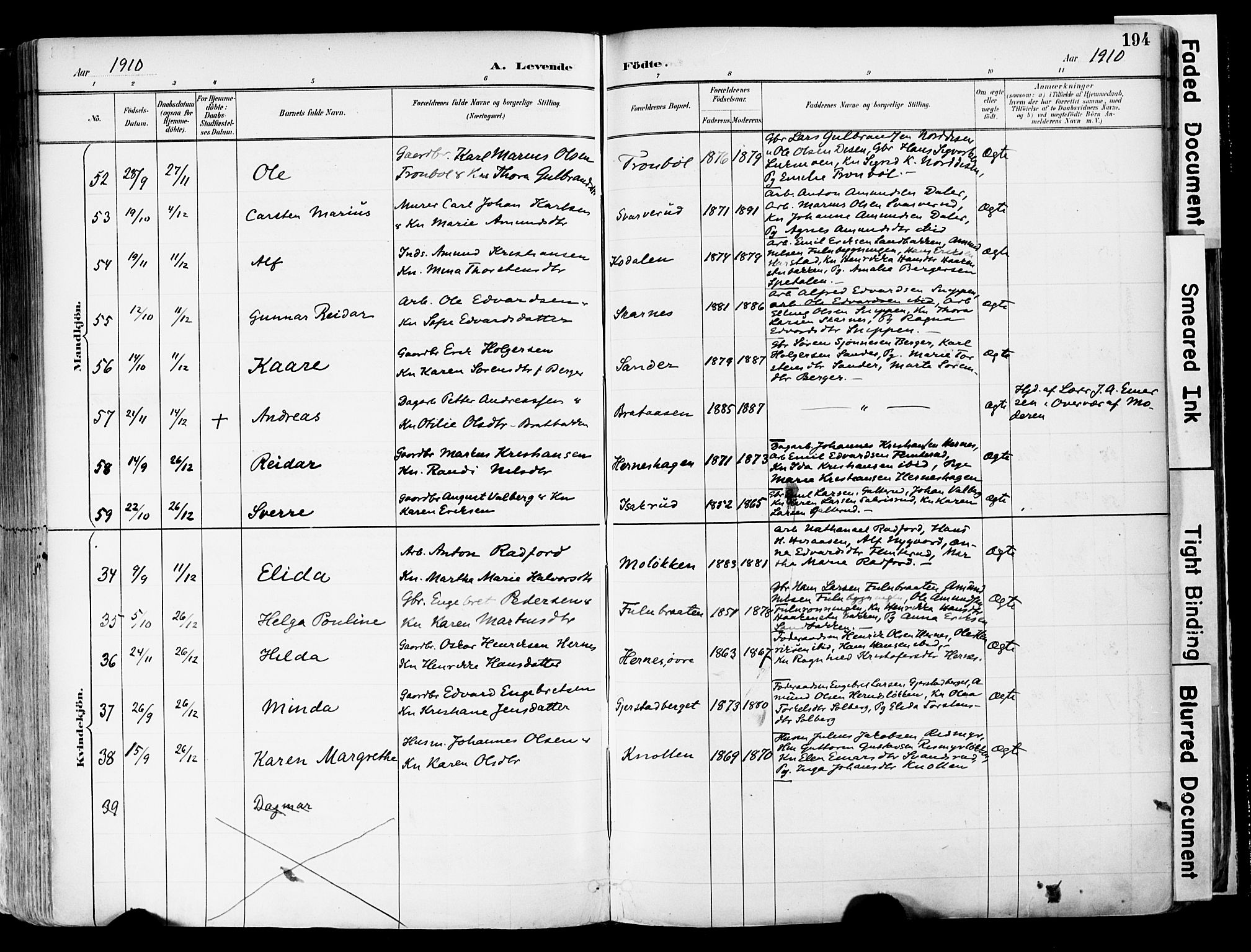 Sør-Odal prestekontor, SAH/PREST-030/H/Ha/Haa/L0006: Parish register (official) no. 6, 1886-1931, p. 194