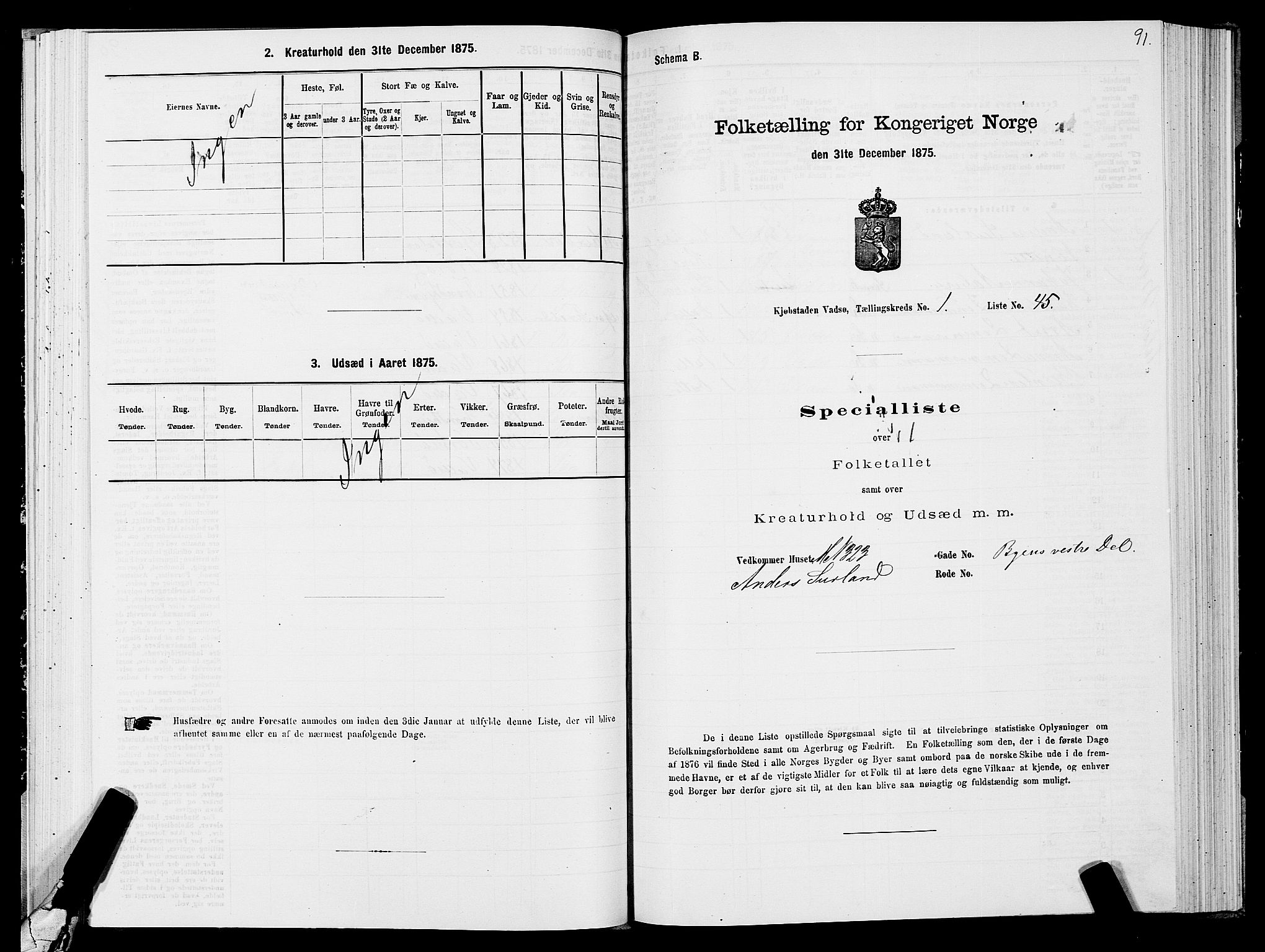 SATØ, 1875 census for 2003B Vadsø/Vadsø, 1875, p. 1091