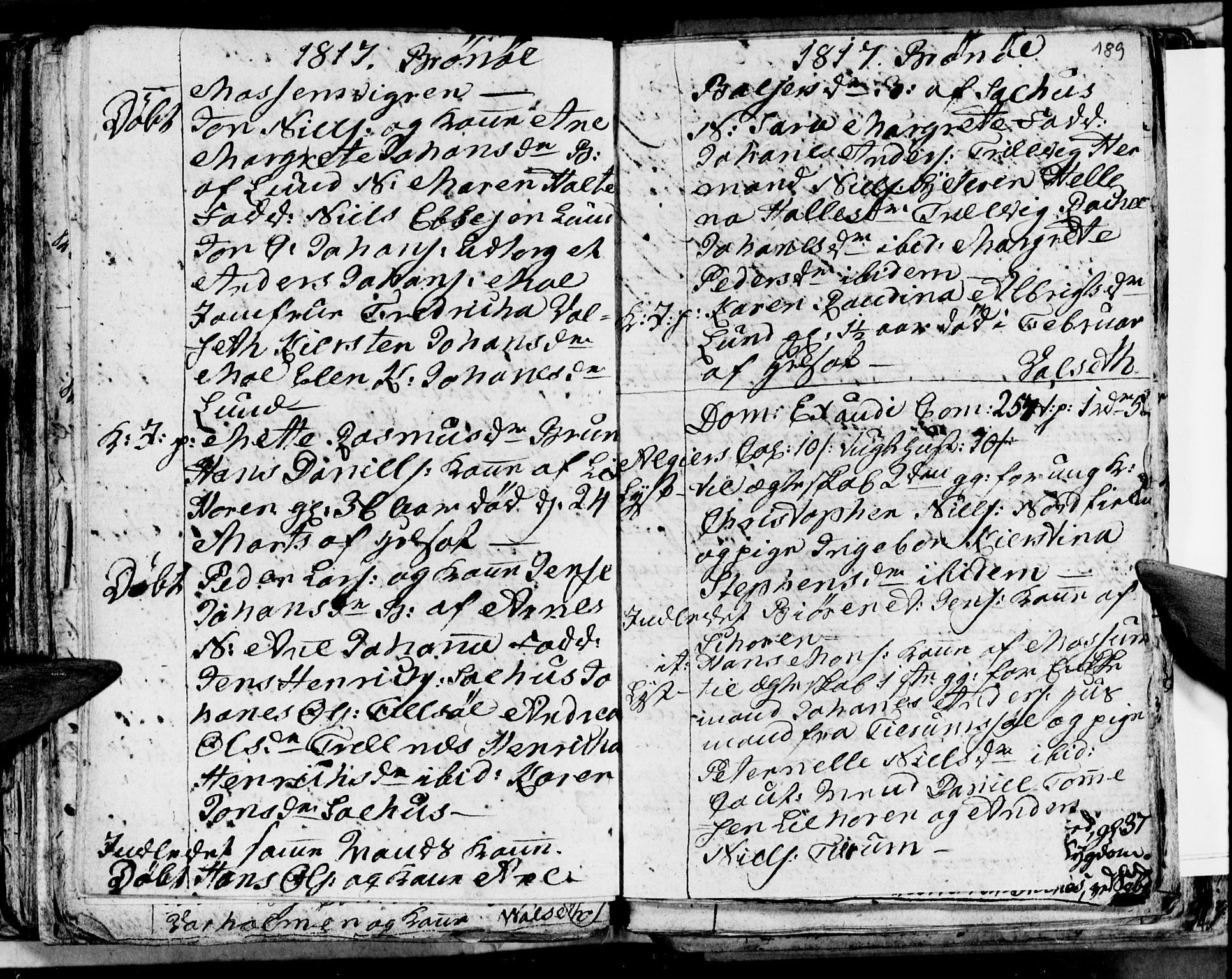 Ministerialprotokoller, klokkerbøker og fødselsregistre - Nordland, AV/SAT-A-1459/813/L0209: Parish register (copy) no. 813C01, 1803-1821, p. 189