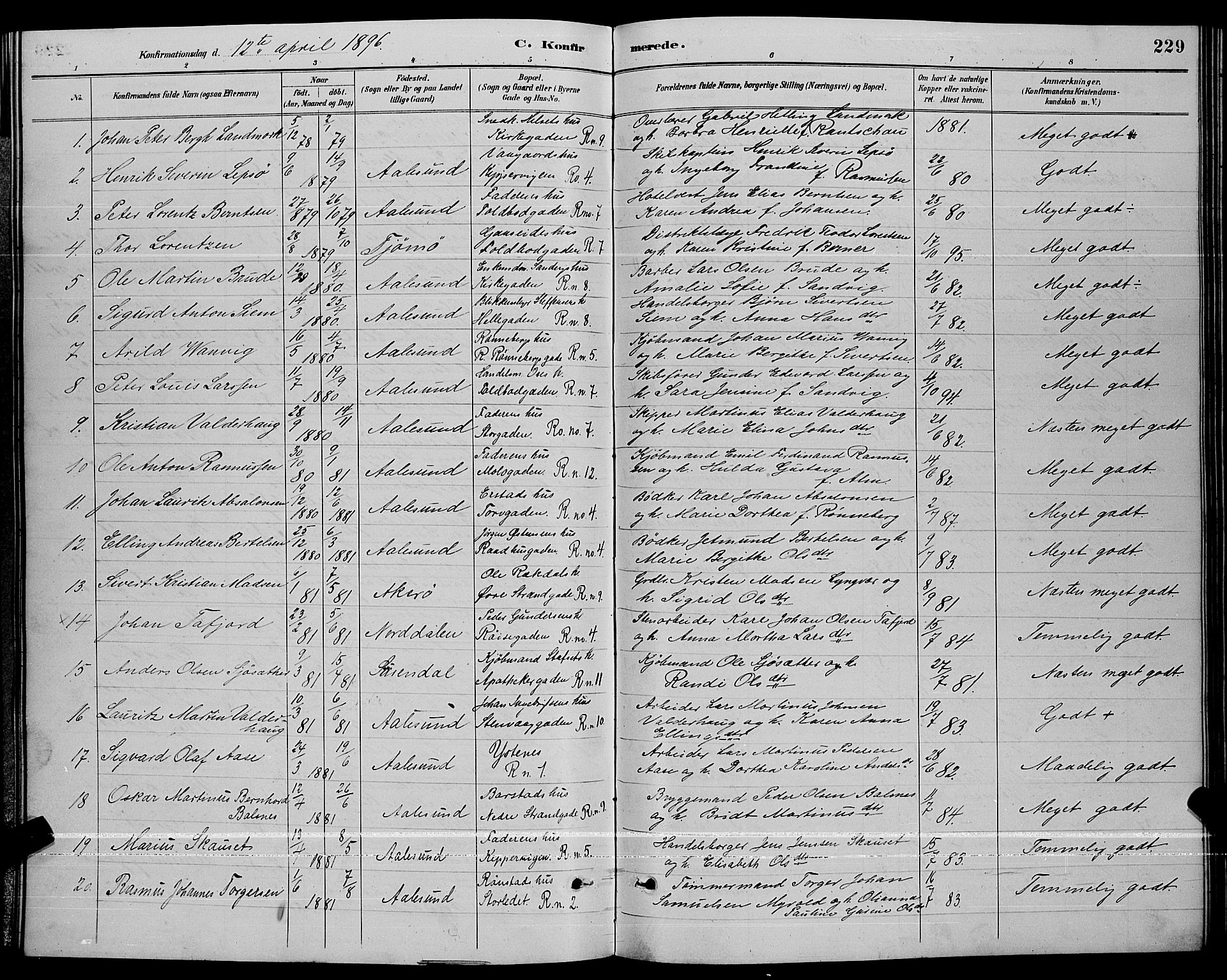 Ministerialprotokoller, klokkerbøker og fødselsregistre - Møre og Romsdal, AV/SAT-A-1454/529/L0467: Parish register (copy) no. 529C04, 1889-1897, p. 229