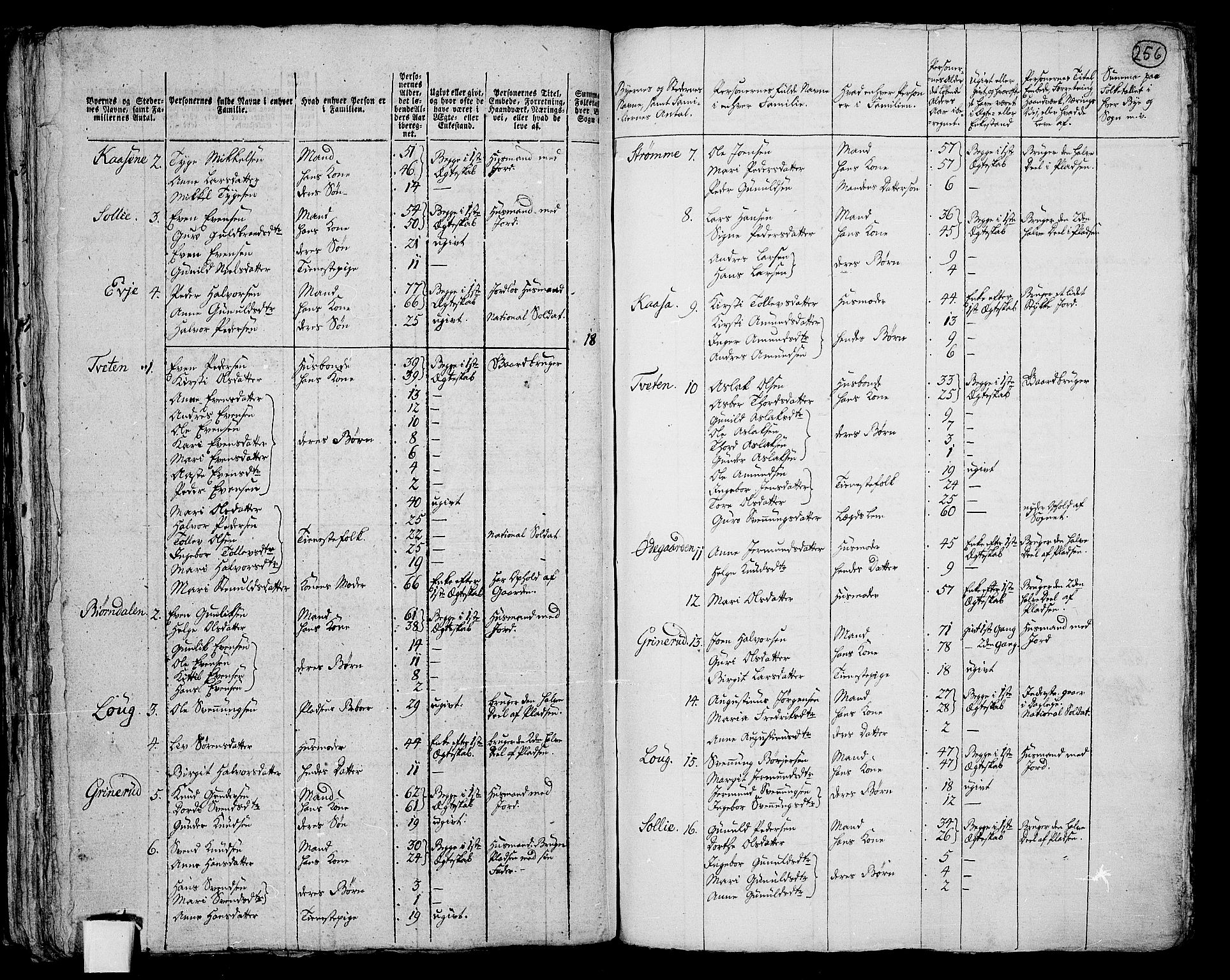 RA, 1801 census for 0821P Bø, 1801, p. 255b-256a