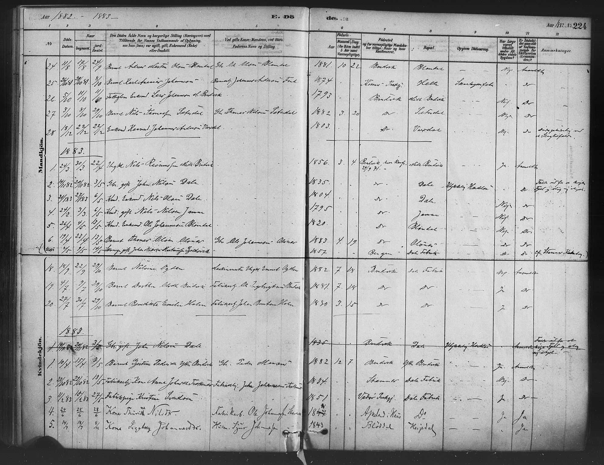 Bruvik Sokneprestembete, SAB/A-74701/H/Haa: Parish register (official) no. B 1, 1878-1904, p. 224