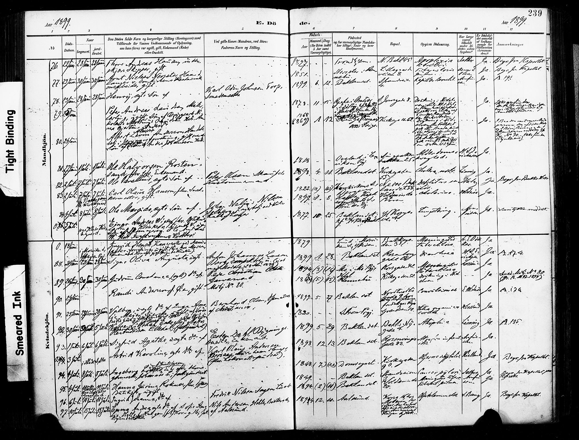 Ministerialprotokoller, klokkerbøker og fødselsregistre - Sør-Trøndelag, AV/SAT-A-1456/604/L0198: Parish register (official) no. 604A19, 1893-1900, p. 239