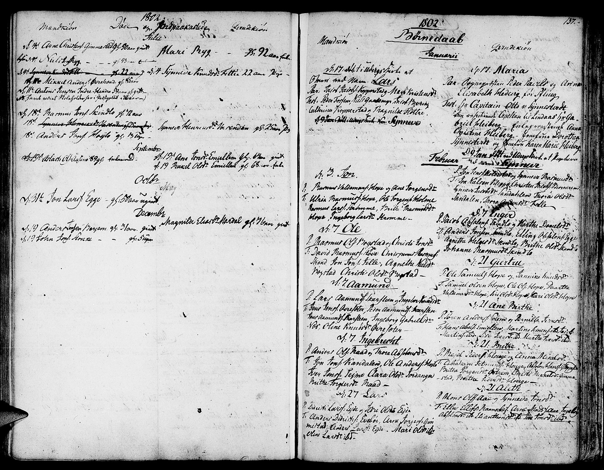 Gloppen sokneprestembete, SAB/A-80101/H/Haa/Haaa/L0005: Parish register (official) no. A 5, 1785-1815, p. 137