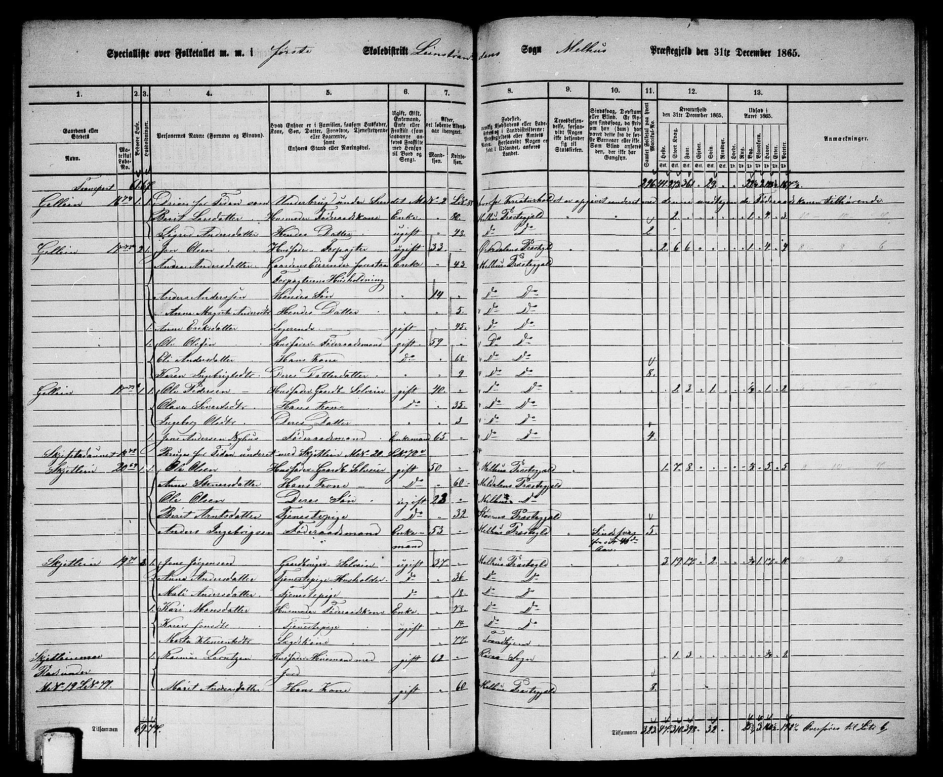 RA, 1865 census for Melhus, 1865, p. 211