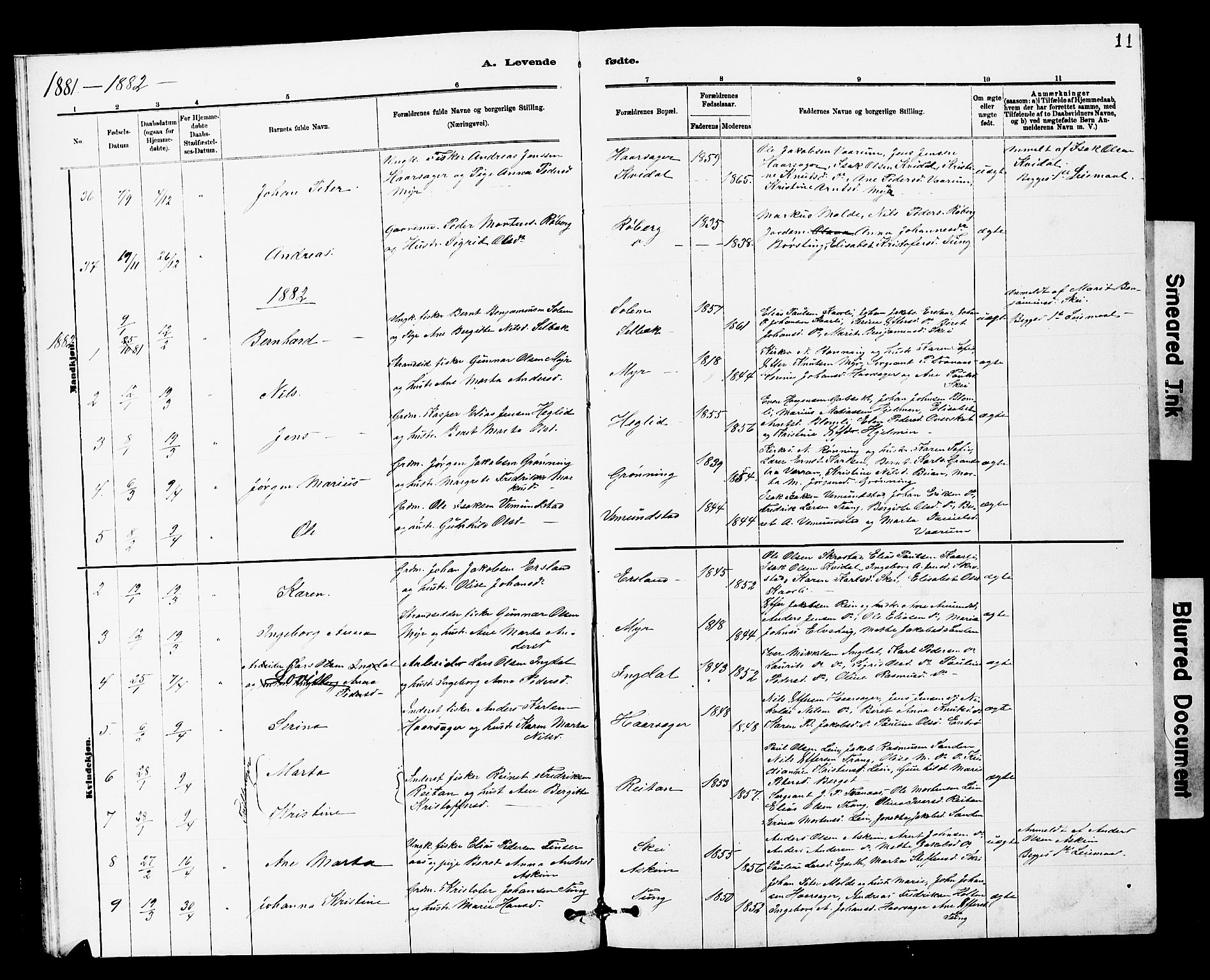 Ministerialprotokoller, klokkerbøker og fødselsregistre - Sør-Trøndelag, AV/SAT-A-1456/646/L0628: Parish register (copy) no. 646C01, 1880-1903, p. 11