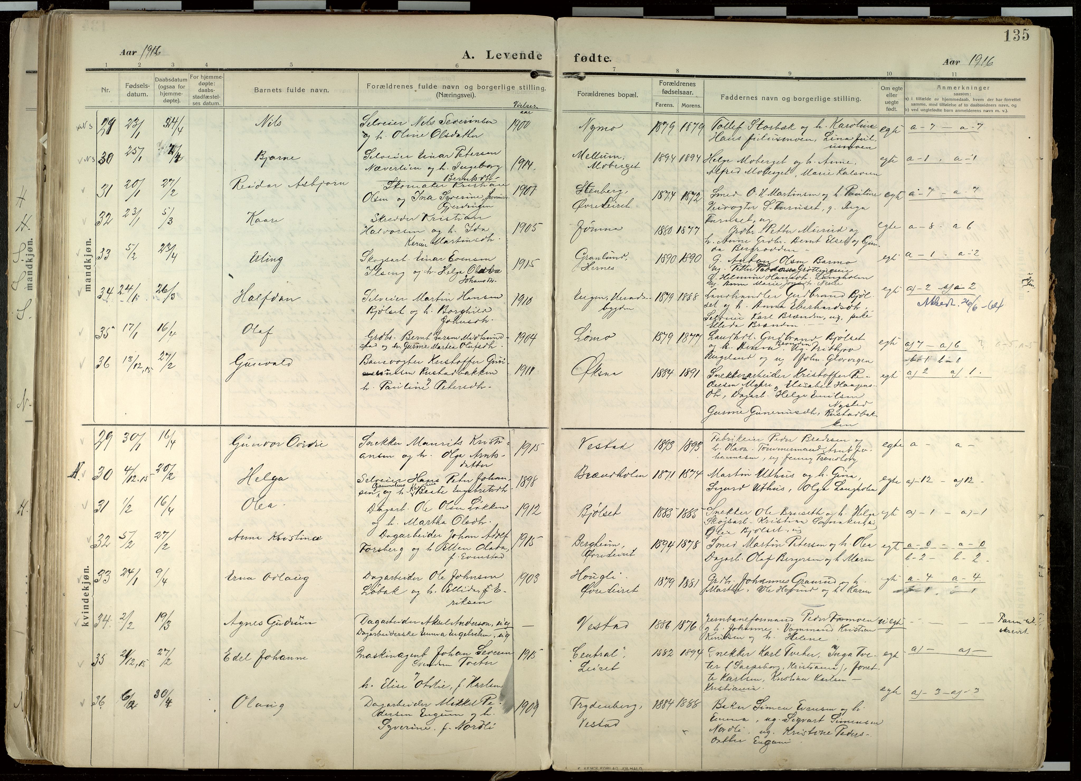 Elverum prestekontor, AV/SAH-PREST-044/H/Ha/Haa/L0020: Parish register (official) no. 20, 1909-1921, p. 135