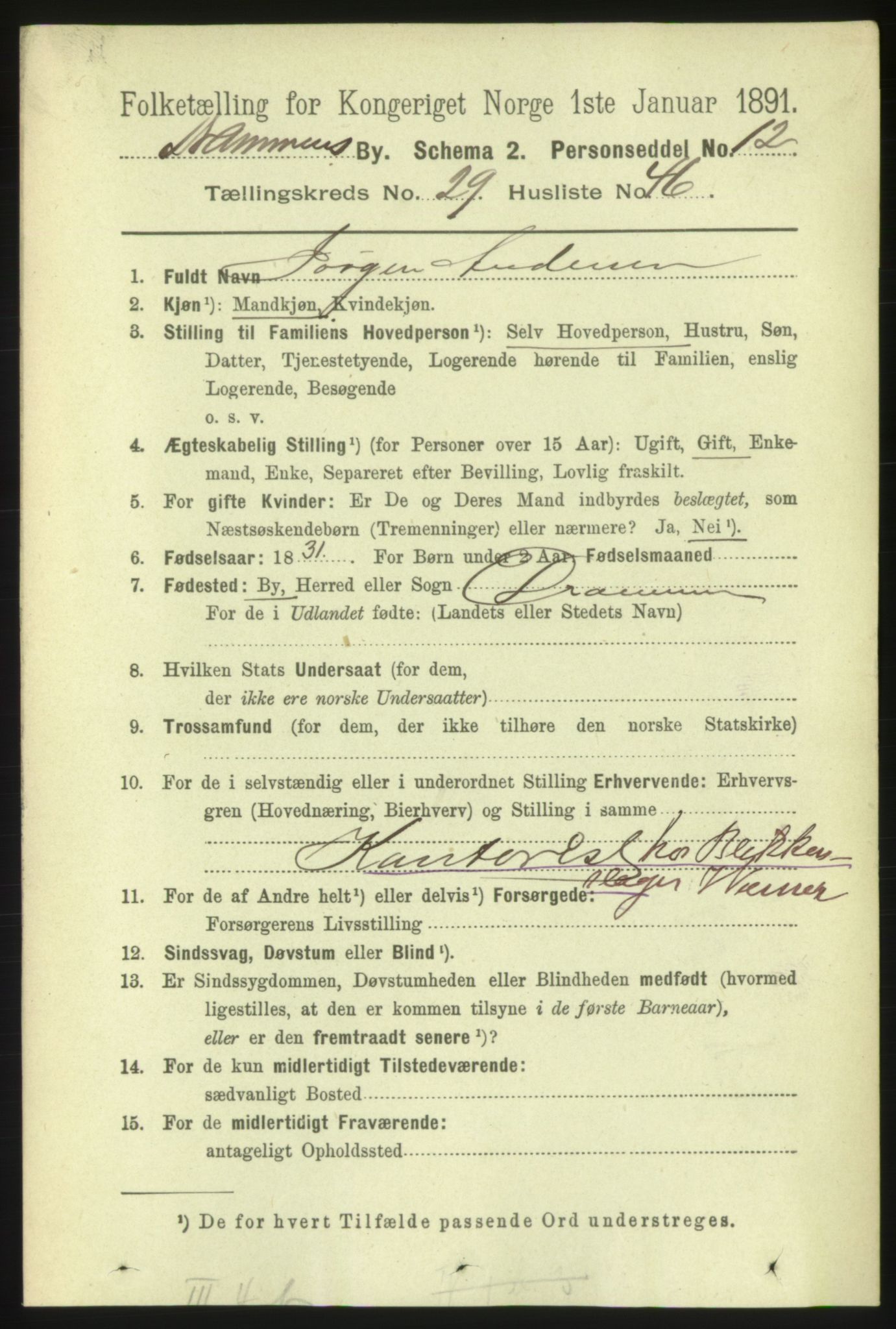 RA, 1891 census for 0602 Drammen, 1891, p. 18055