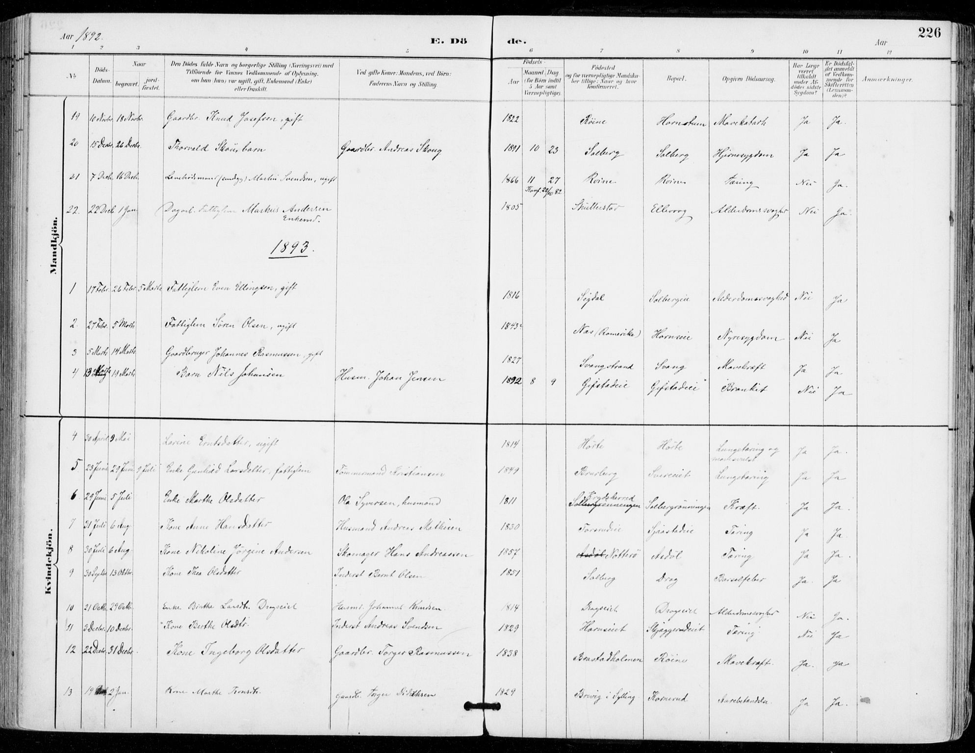 Sylling kirkebøker, AV/SAKO-A-247/F/Fa/L0001: Parish register (official) no. 1, 1883-1910, p. 226