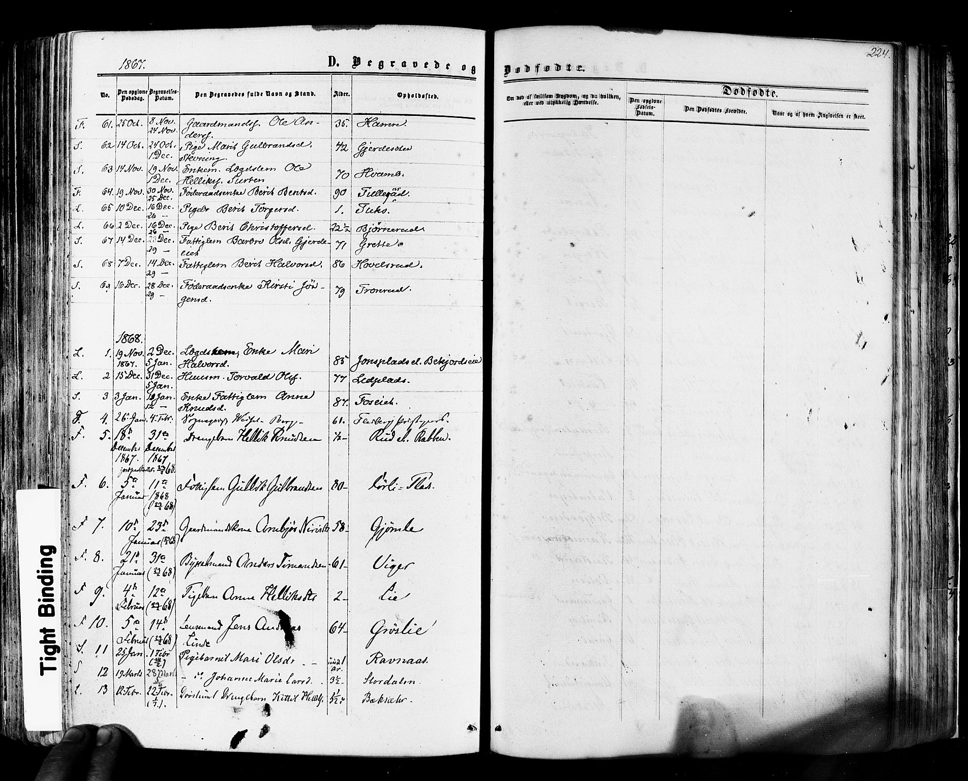 Flesberg kirkebøker, SAKO/A-18/F/Fa/L0007: Parish register (official) no. I 7, 1861-1878, p. 324