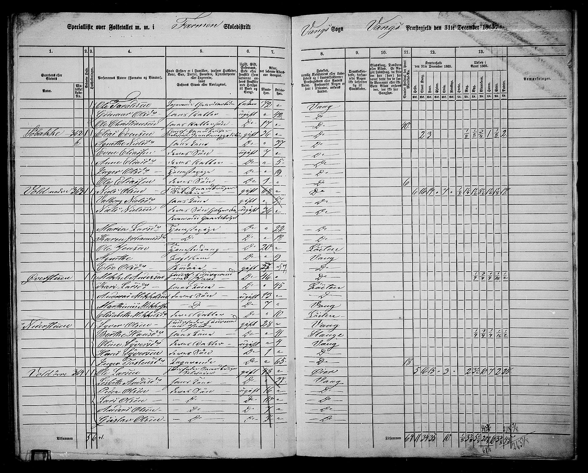 RA, 1865 census for Vang/Vang og Furnes, 1865, p. 325