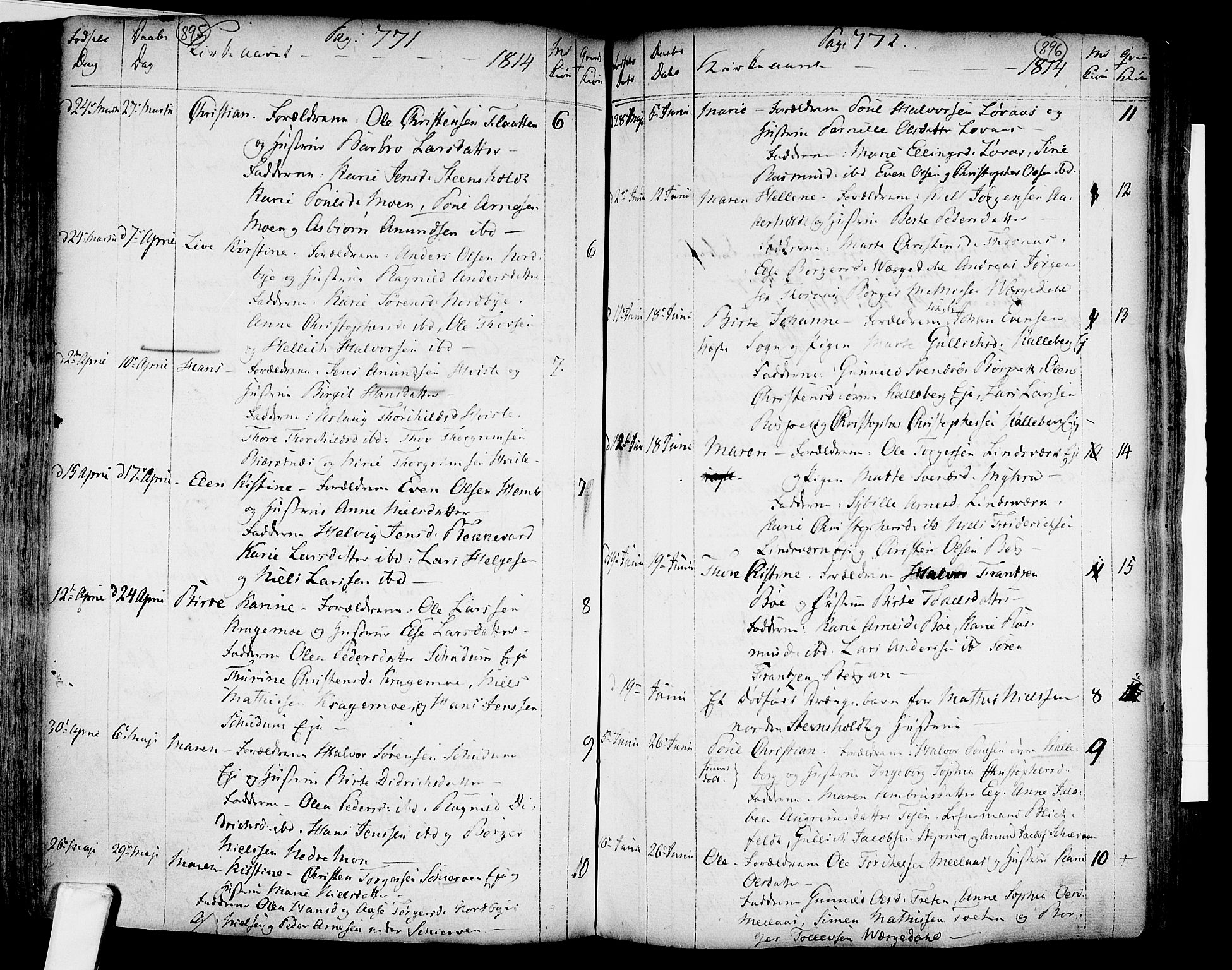 Lardal kirkebøker, AV/SAKO-A-350/F/Fa/L0003: Parish register (official) no. I 3, 1733-1815, p. 895-896