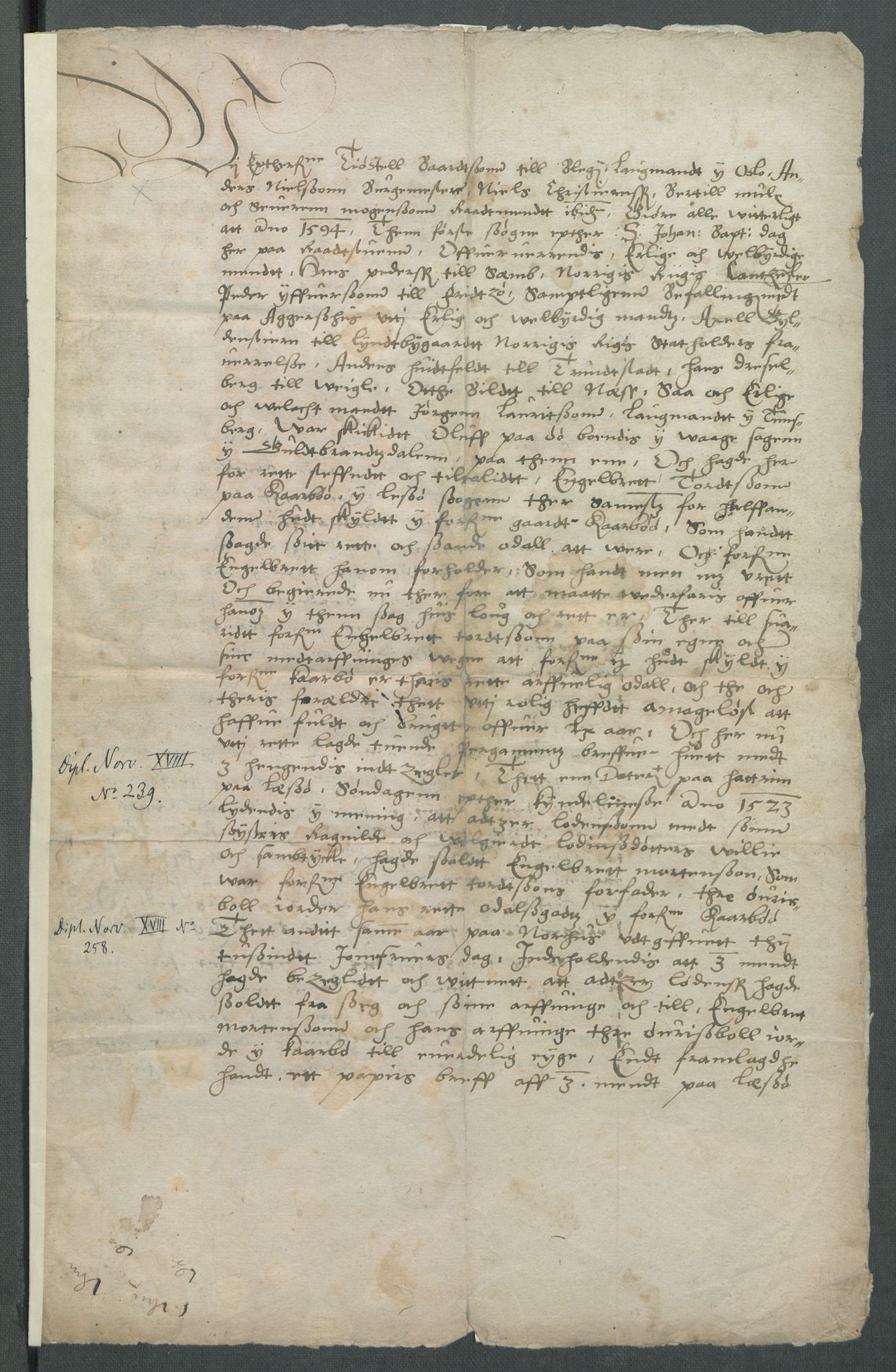 Riksarkivets diplomsamling, RA/EA-5965/F02/L0098: Dokumenter, 1594, p. 43