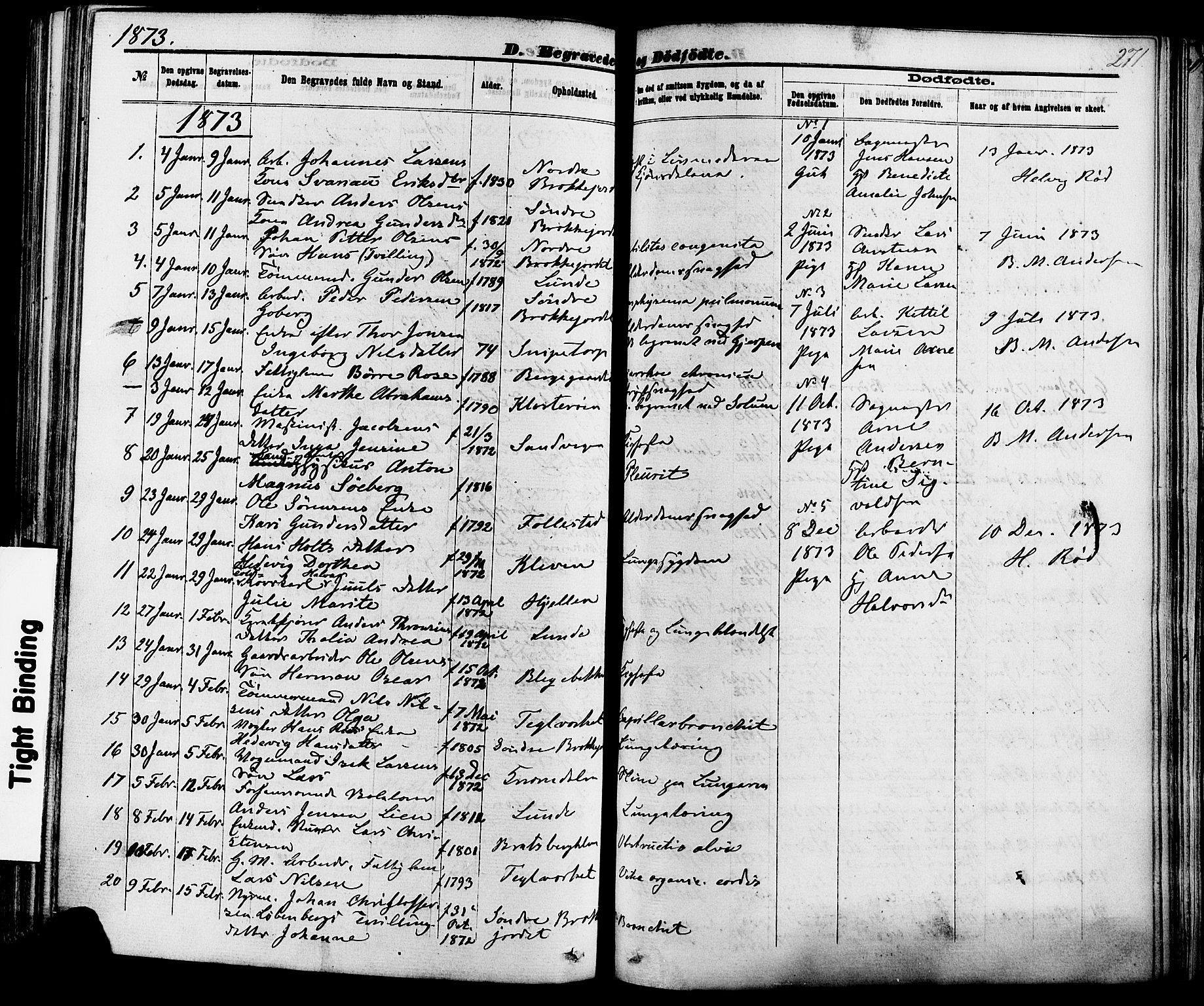 Skien kirkebøker, SAKO/A-302/F/Fa/L0008: Parish register (official) no. 8, 1866-1877, p. 271