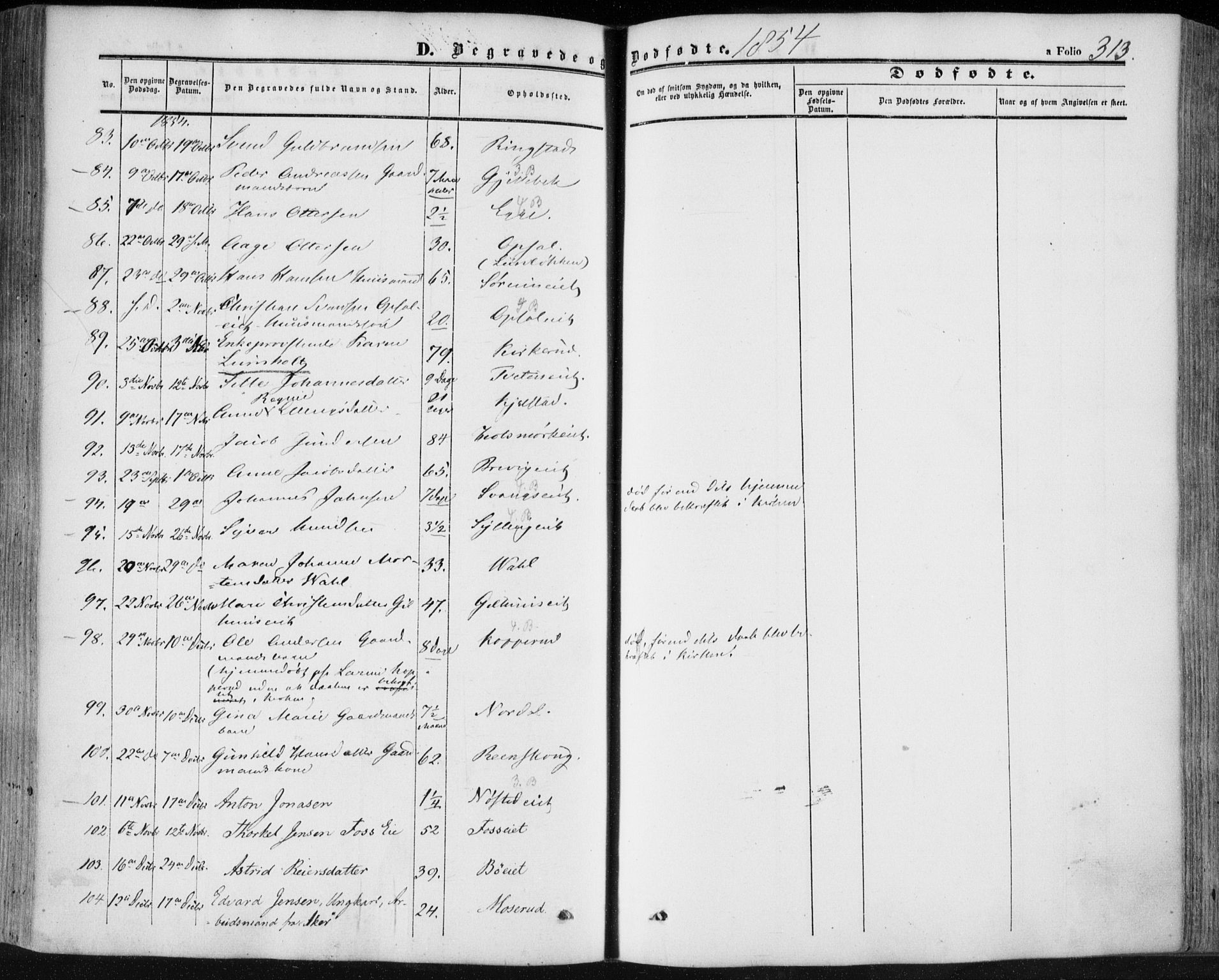 Lier kirkebøker, SAKO/A-230/F/Fa/L0012: Parish register (official) no. I 12, 1854-1864, p. 313