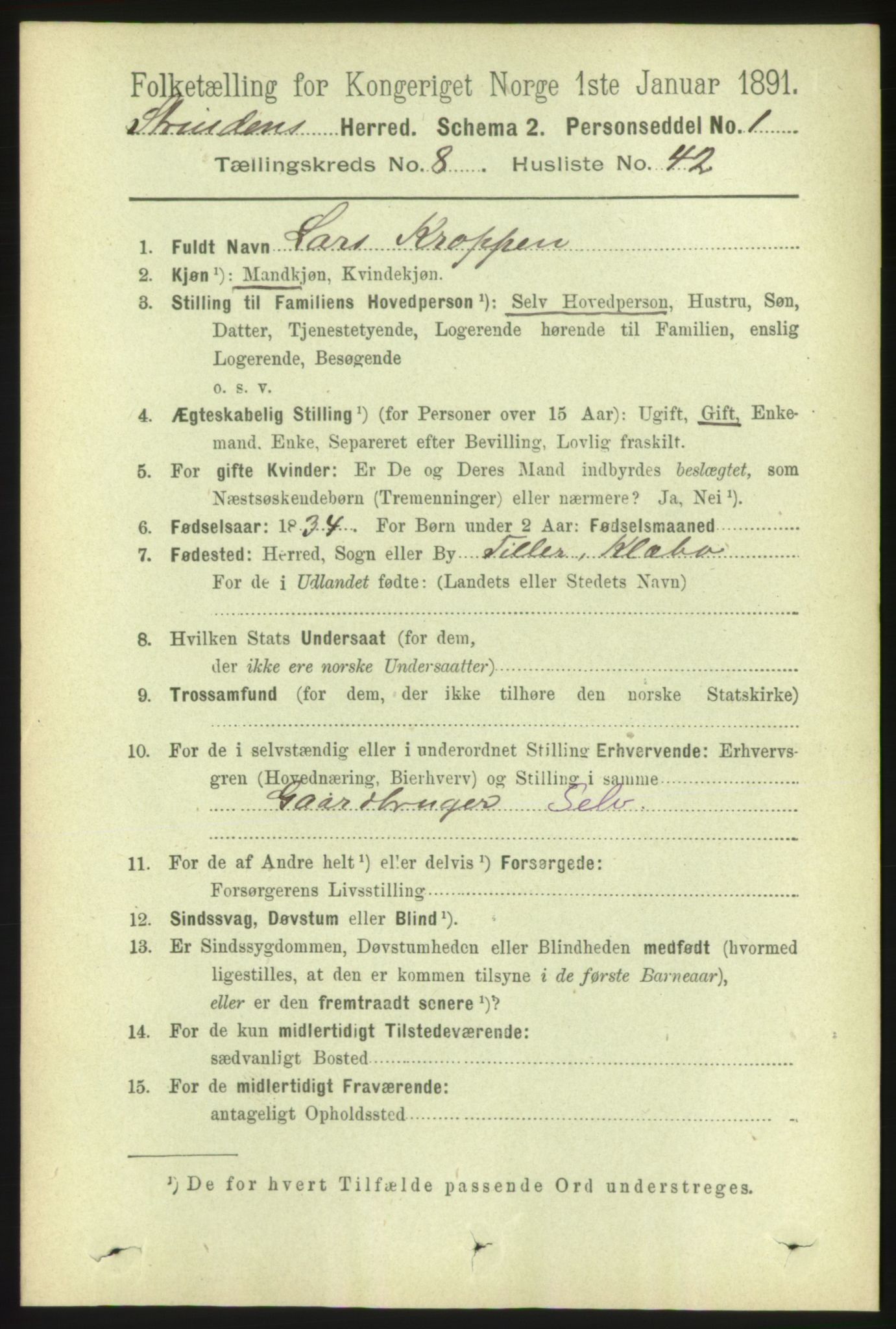 RA, 1891 census for 1660 Strinda, 1891, p. 7342