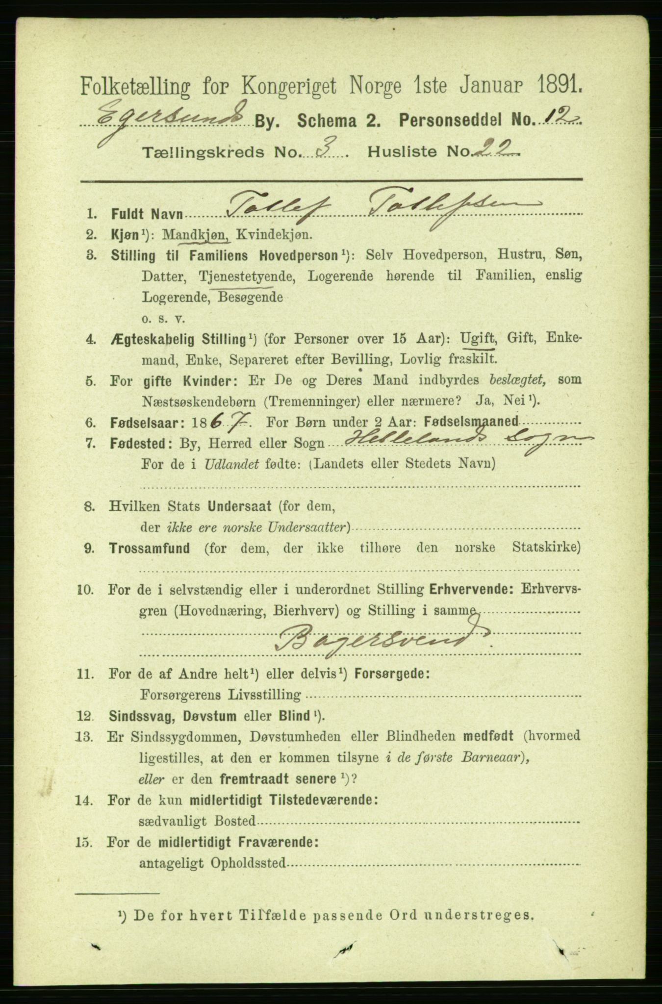 RA, 1891 census for 1101 Egersund, 1891, p. 596