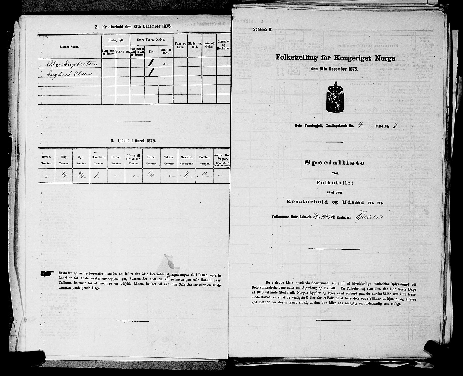 SAKO, 1875 census for 0612P Hole, 1875, p. 637