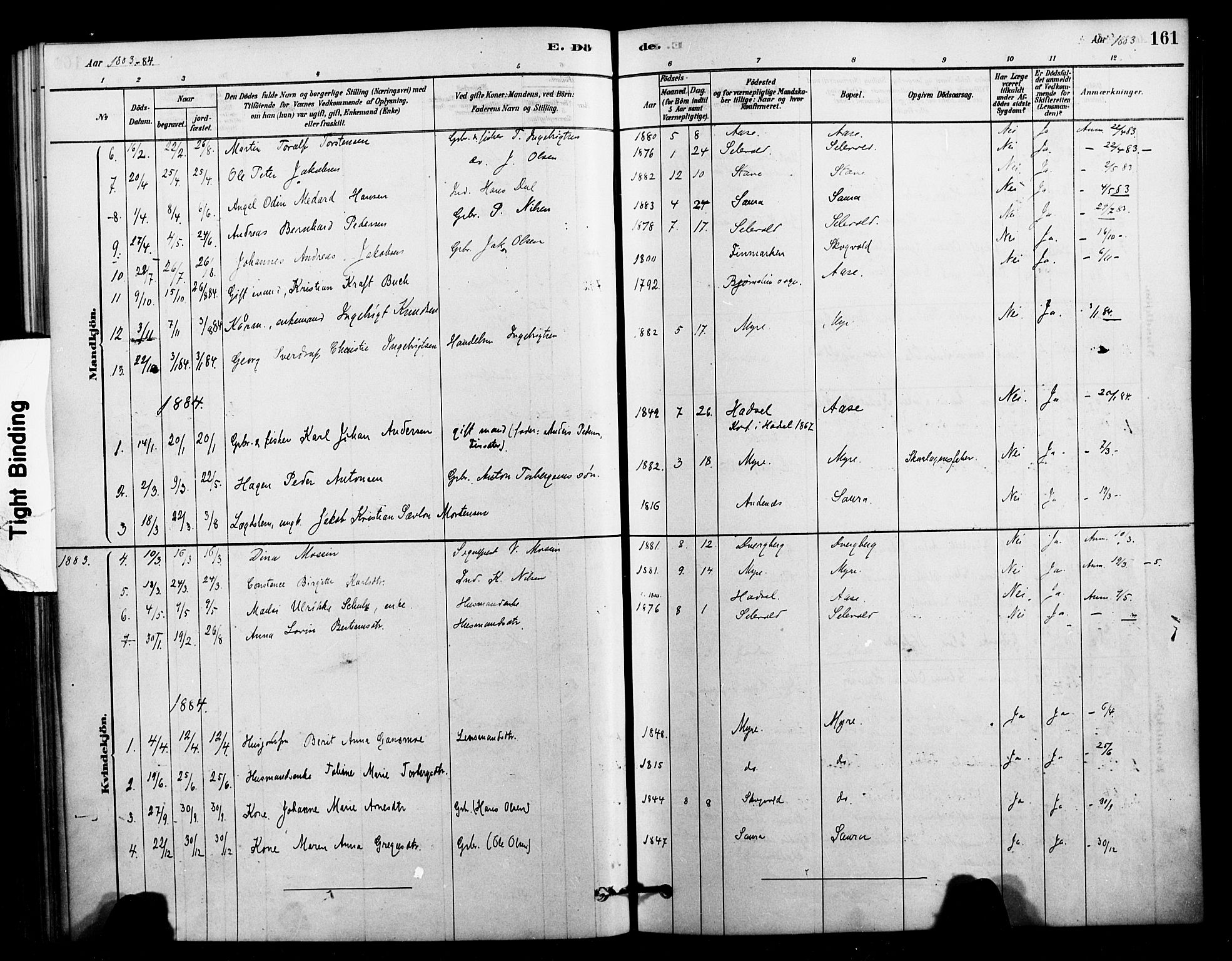 Ministerialprotokoller, klokkerbøker og fødselsregistre - Nordland, AV/SAT-A-1459/897/L1399: Parish register (official) no. 897C06, 1881-1896, p. 161