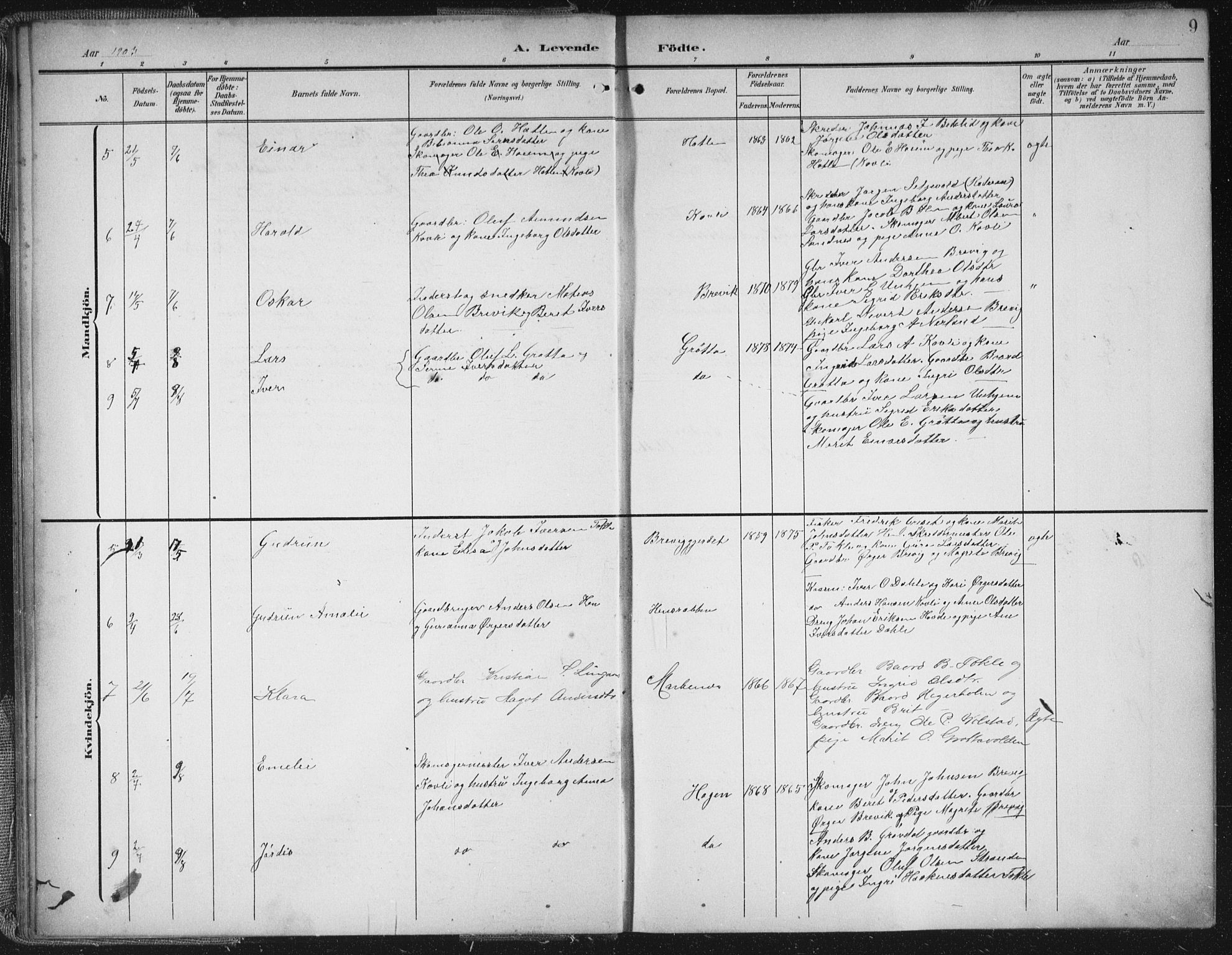 Ministerialprotokoller, klokkerbøker og fødselsregistre - Møre og Romsdal, AV/SAT-A-1454/545/L0589: Parish register (copy) no. 545C03, 1902-1937, p. 9