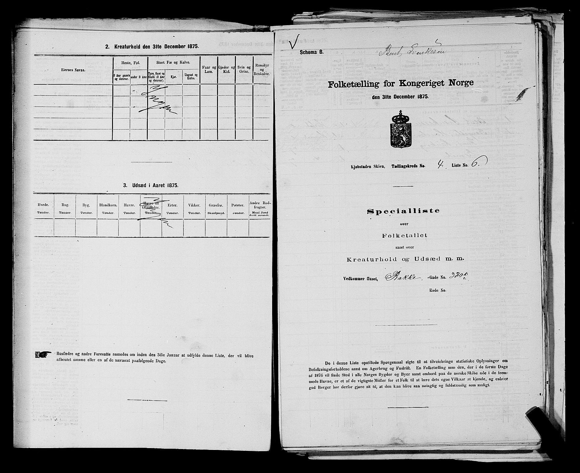 SAKO, 1875 census for 0806P Skien, 1875, p. 696