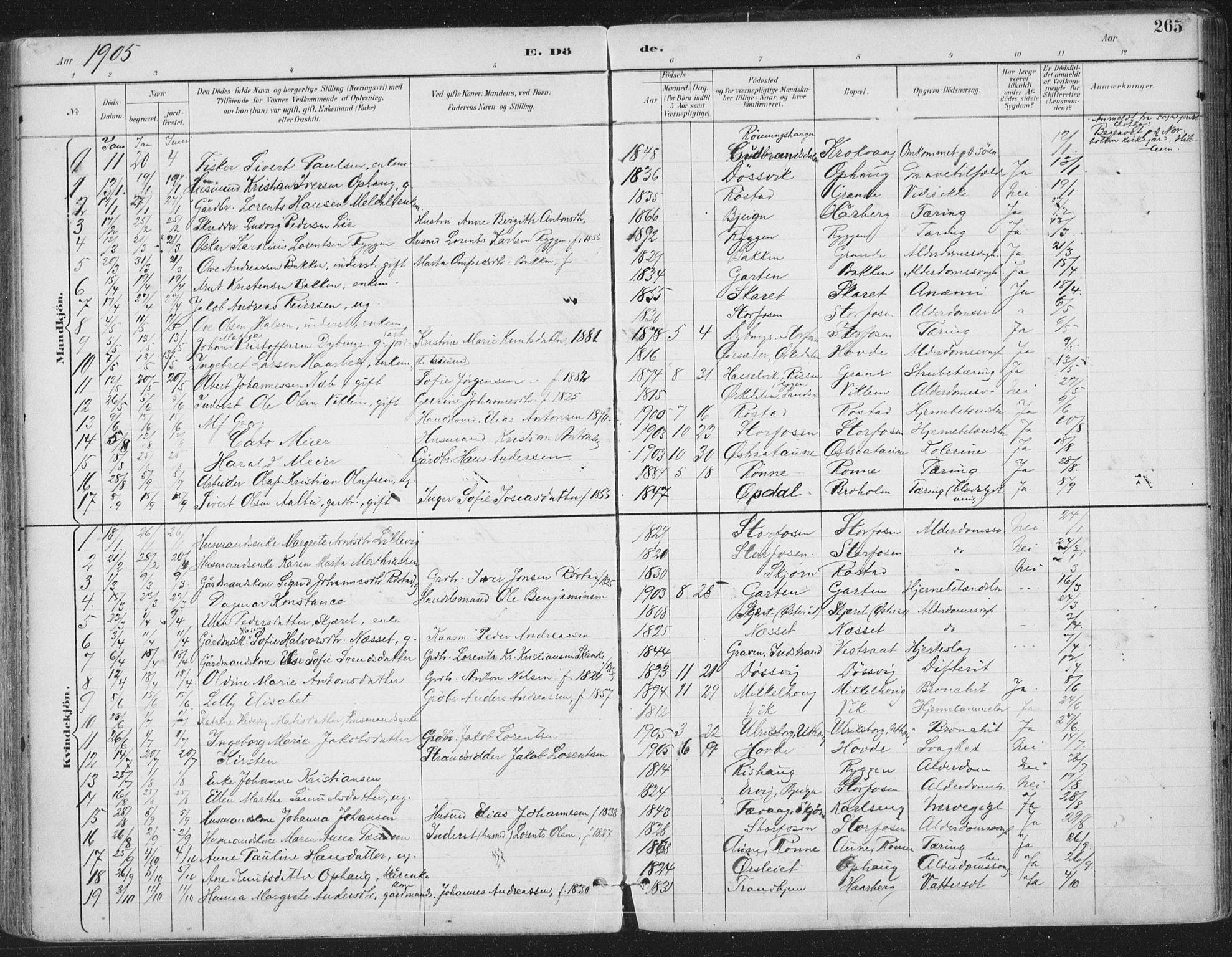 Ministerialprotokoller, klokkerbøker og fødselsregistre - Sør-Trøndelag, SAT/A-1456/659/L0743: Parish register (official) no. 659A13, 1893-1910, p. 265