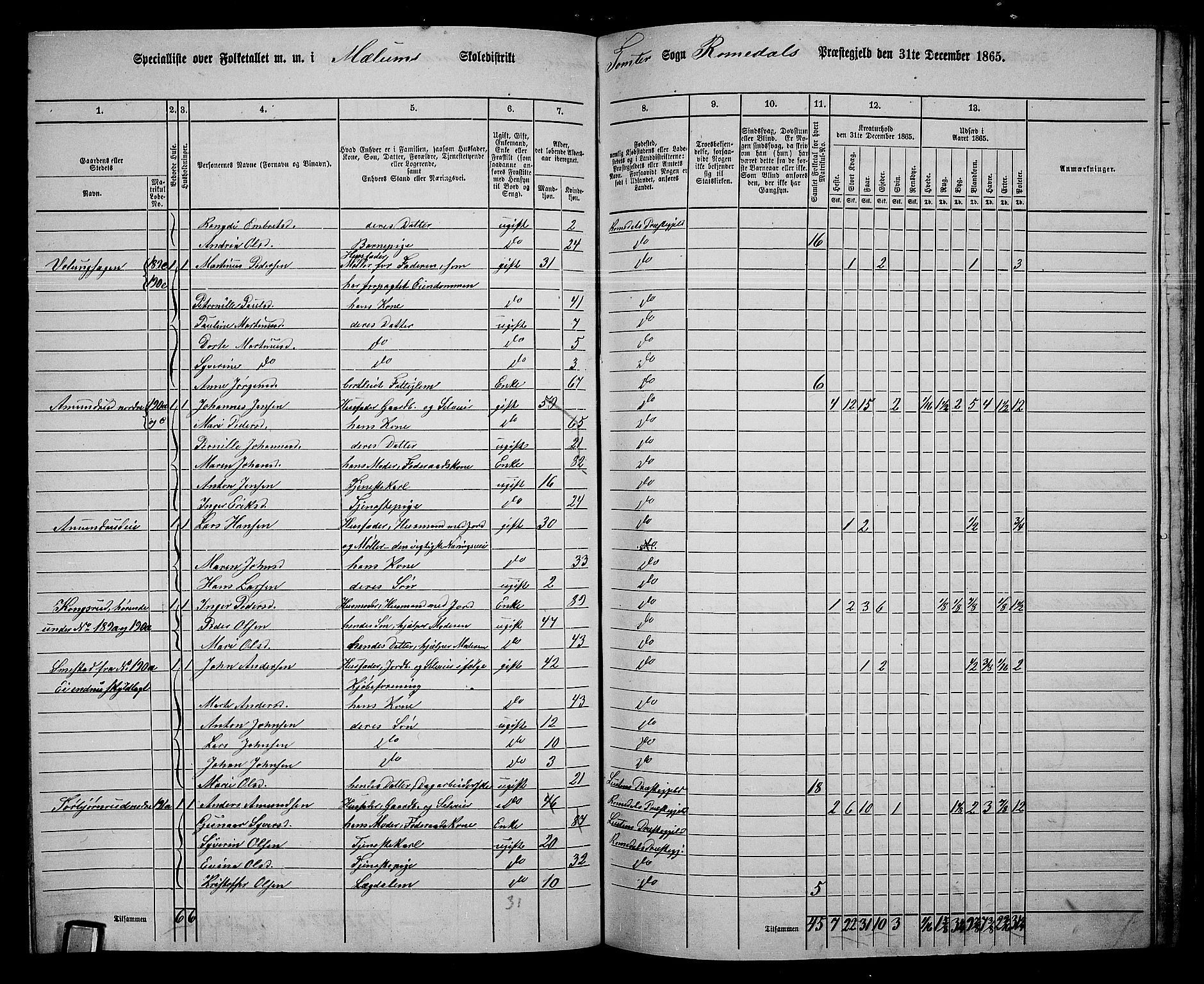 RA, 1865 census for Romedal, 1865, p. 160