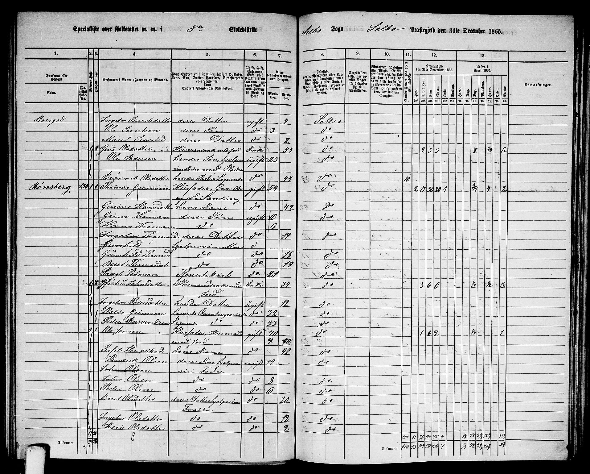 RA, 1865 census for Selbu, 1865, p. 138