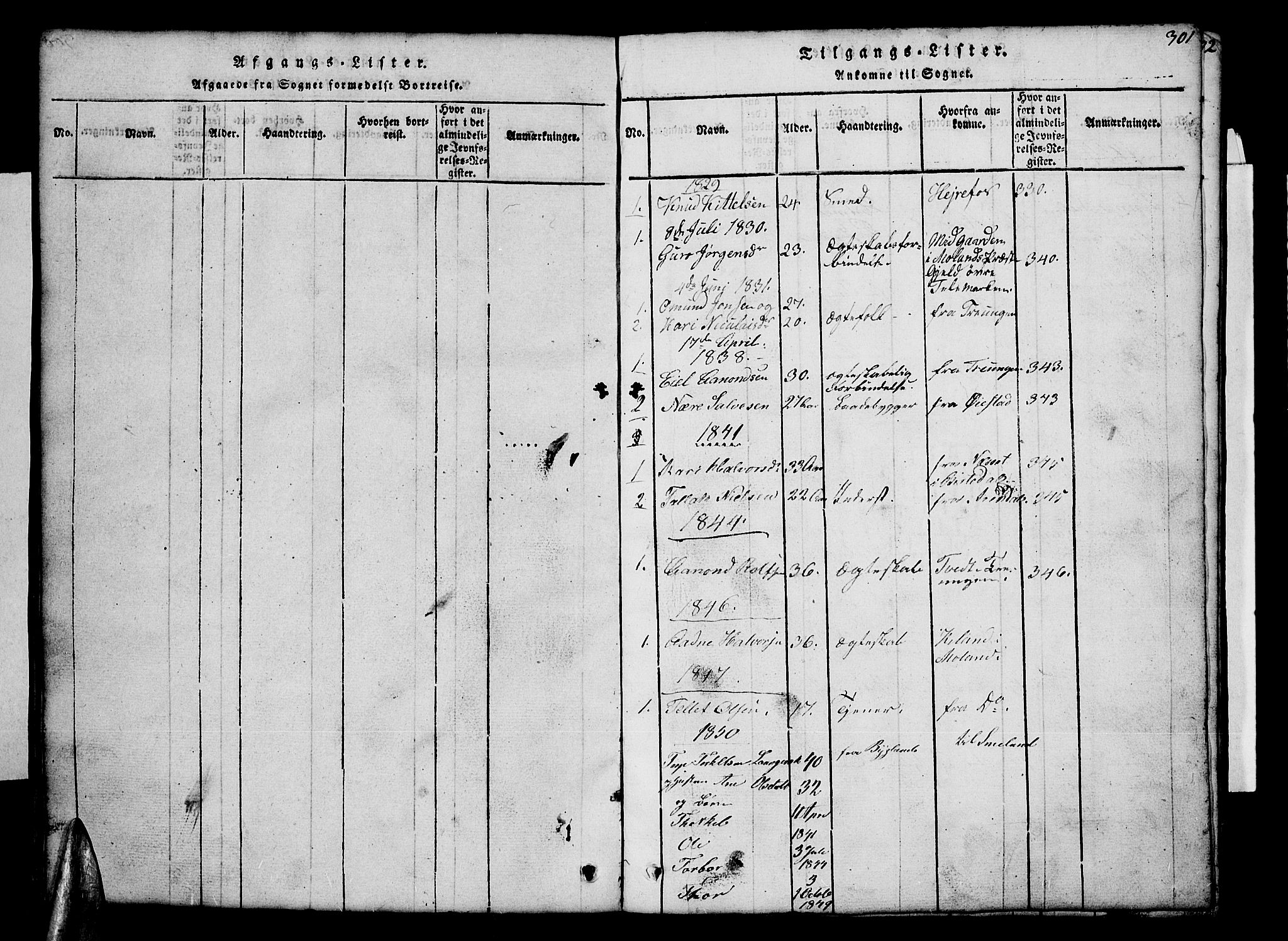 Åmli sokneprestkontor, SAK/1111-0050/F/Fb/Fba/L0001: Parish register (copy) no. B 1, 1816-1890, p. 301