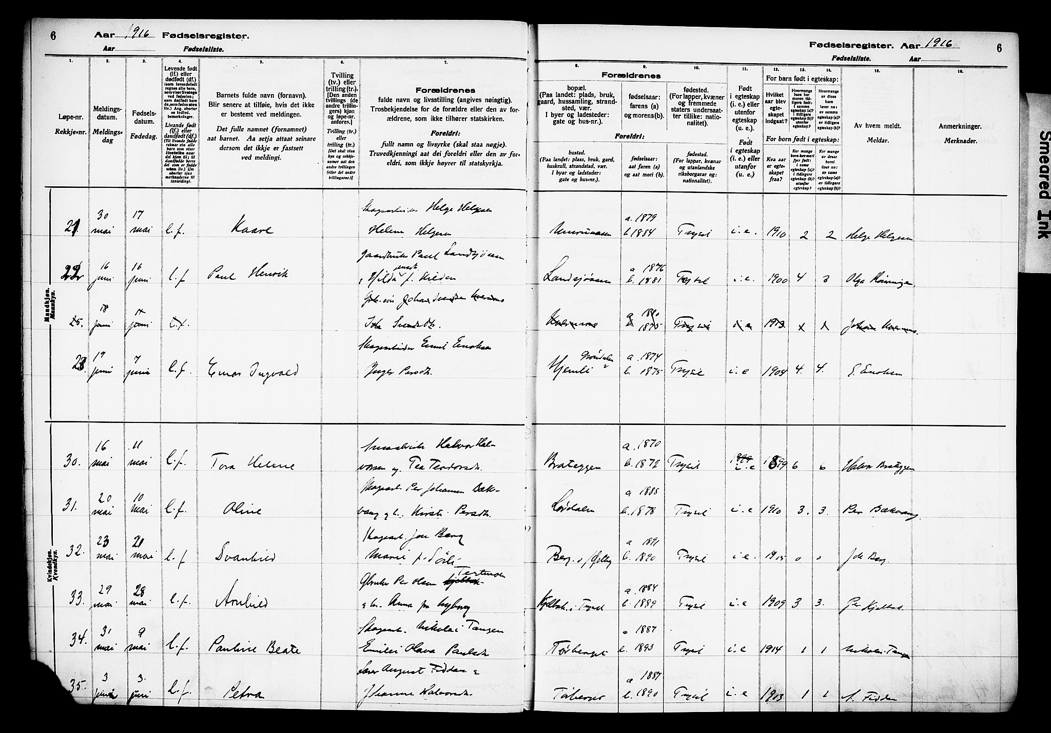 Trysil prestekontor, AV/SAH-PREST-046/I/Id/Ida/L0001: Birth register no. I 1, 1916-1927, p. 6