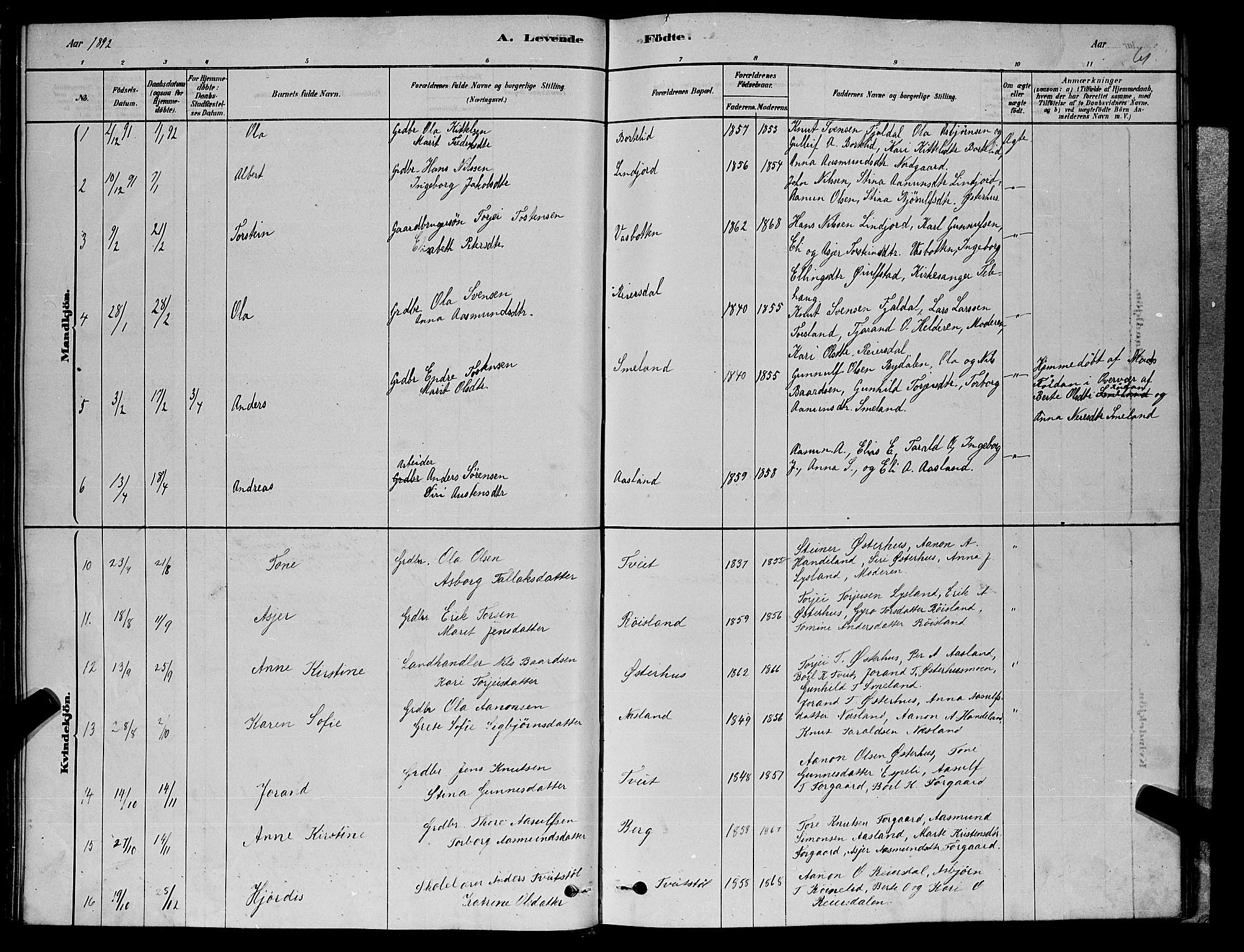 Åseral sokneprestkontor, AV/SAK-1111-0051/F/Fb/L0002: Parish register (copy) no. B 2, 1878-1899, p. 61