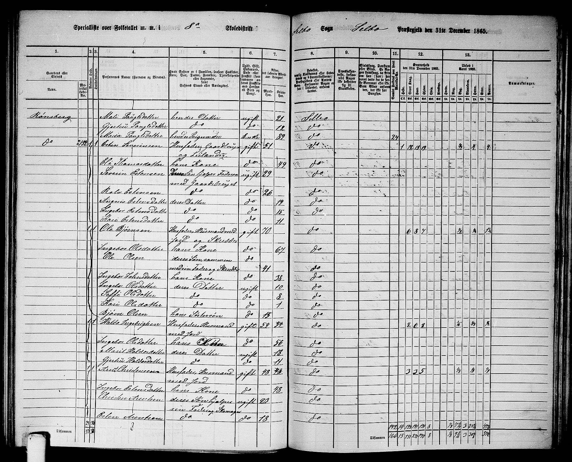 RA, 1865 census for Selbu, 1865, p. 140