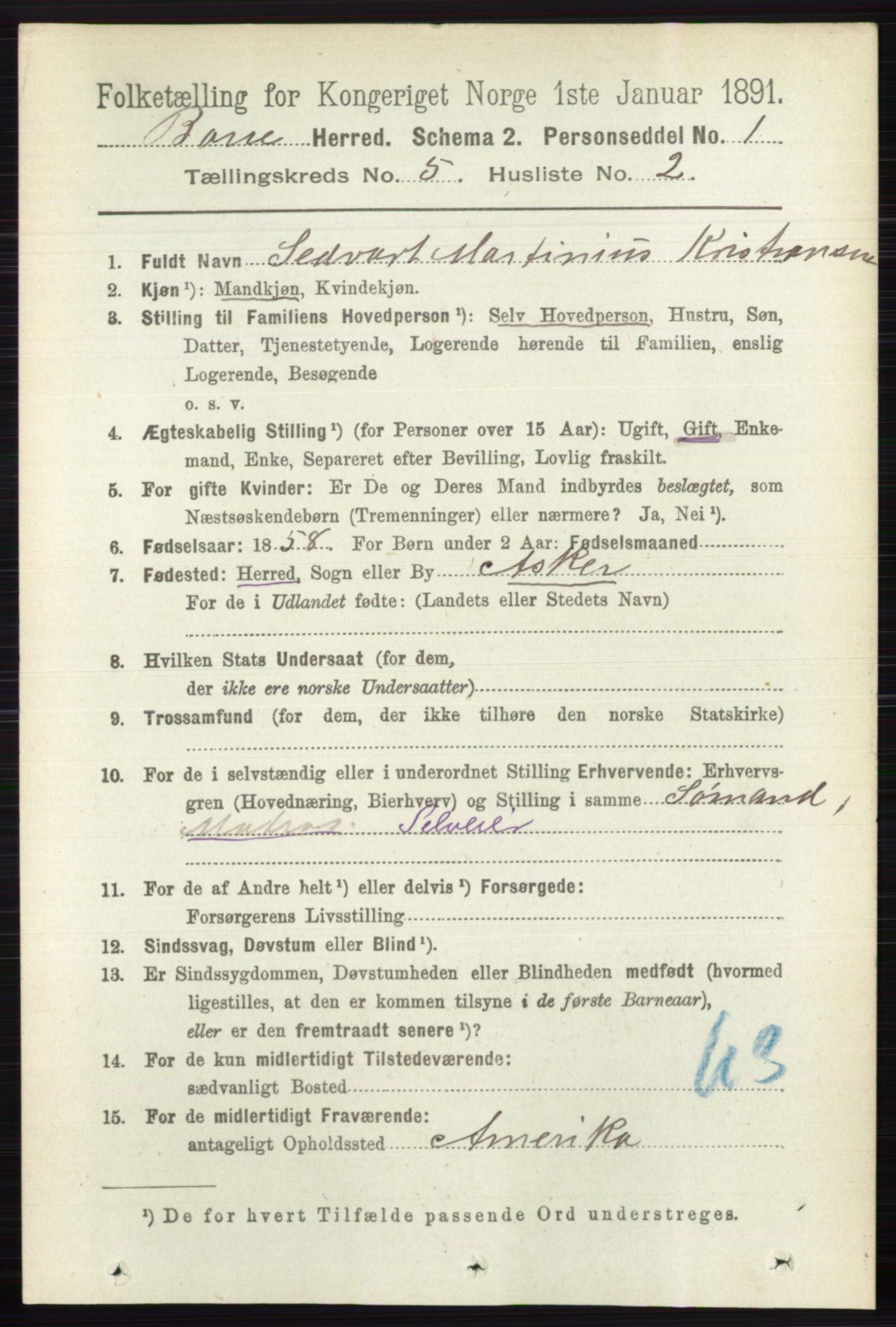 RA, 1891 census for 0717 Borre, 1891, p. 2020