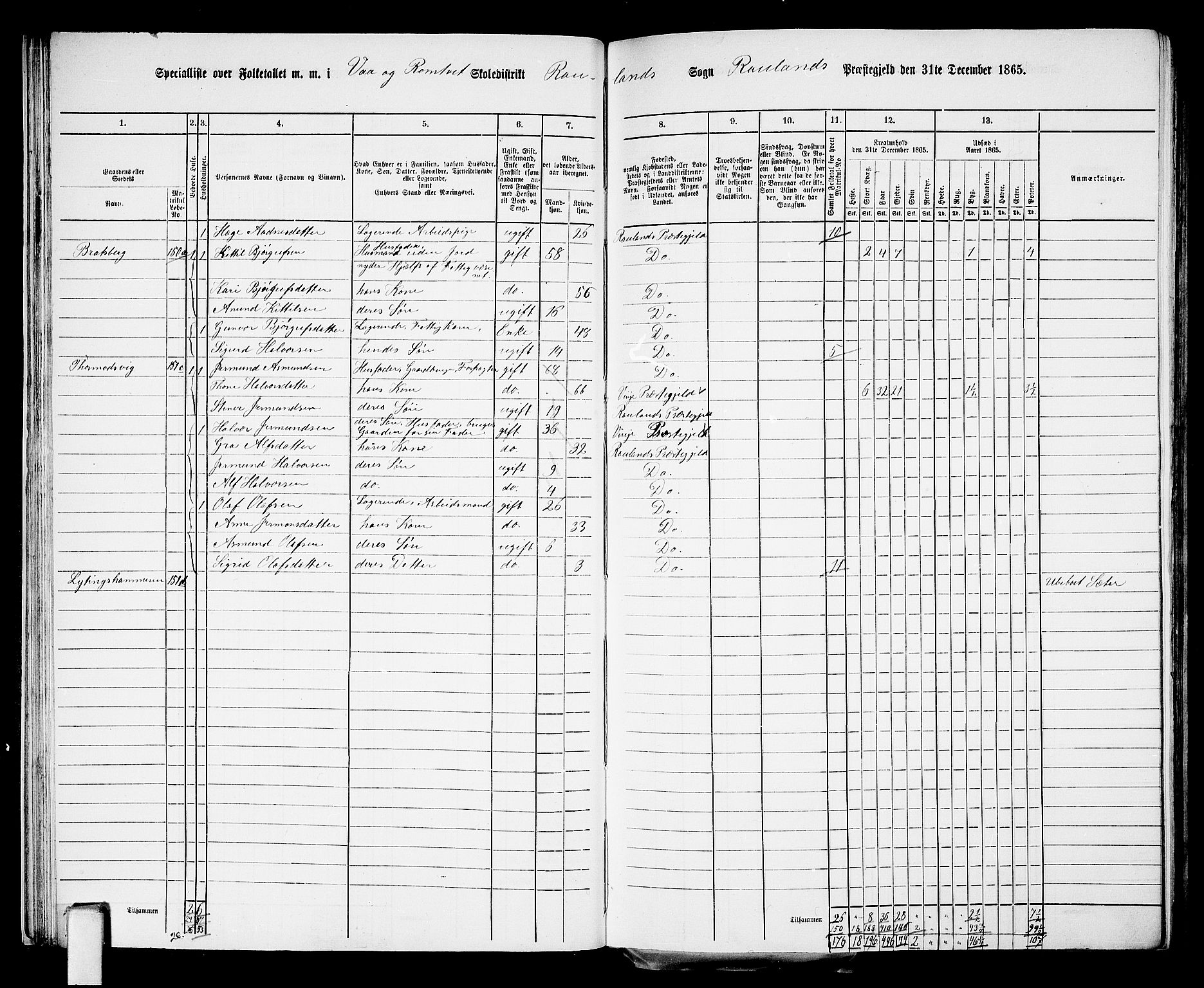 RA, 1865 census for Rauland, 1865, p. 28