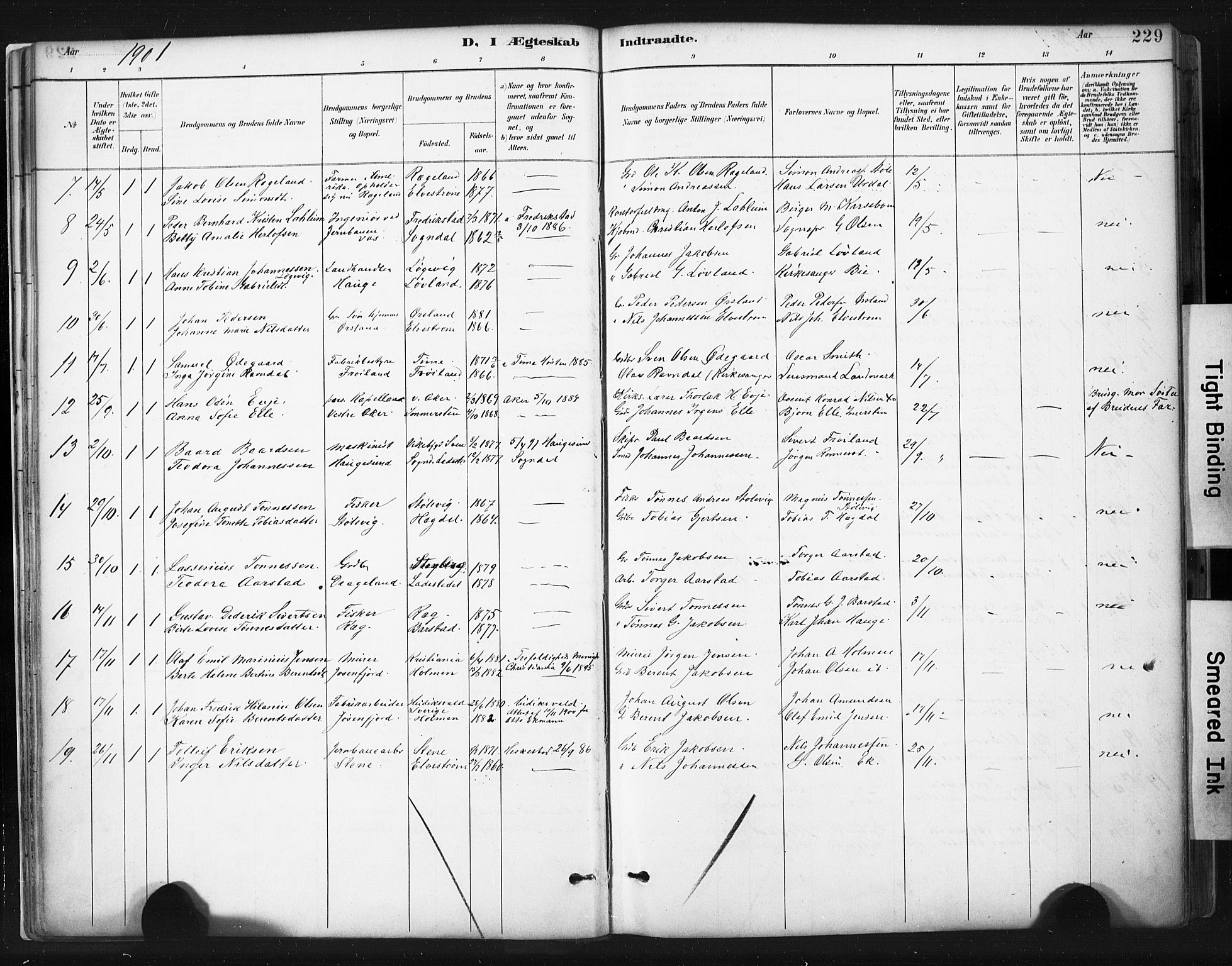 Sokndal sokneprestkontor, AV/SAST-A-101808: Parish register (official) no. A 11.2, 1887-1905, p. 229