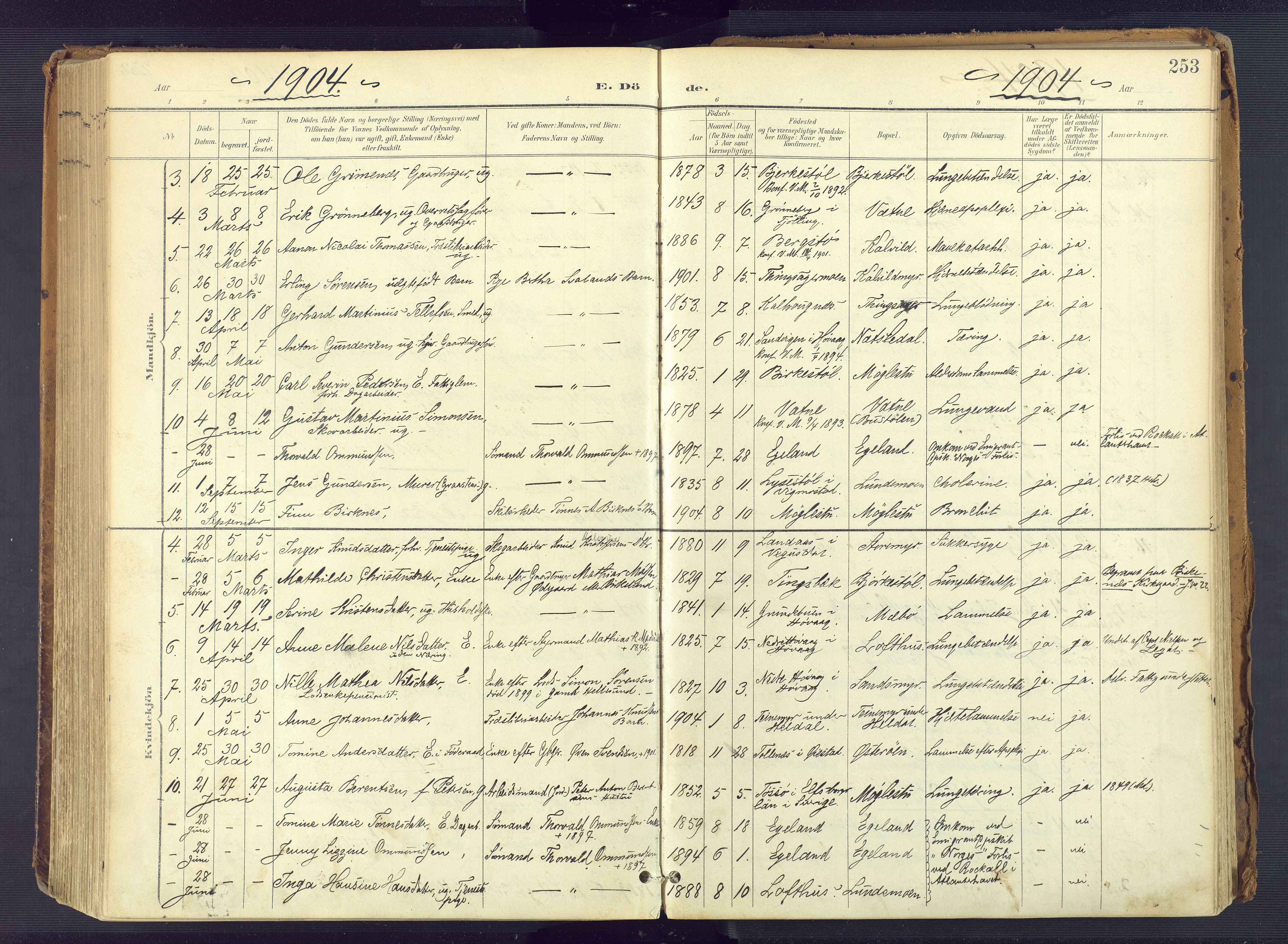 Vestre Moland sokneprestkontor, SAK/1111-0046/F/Fa/Fab/L0010: Parish register (official) no. A 10, 1900-1926, p. 253