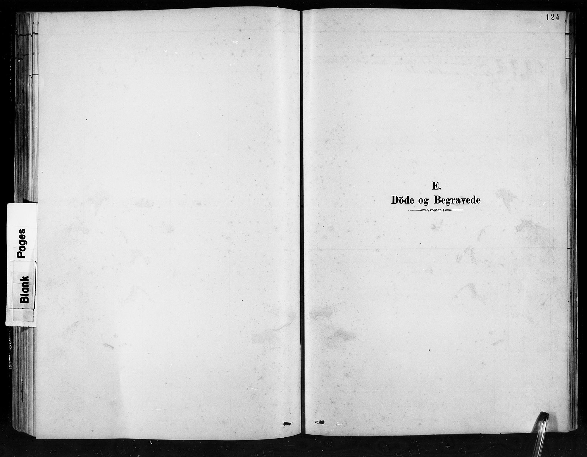 Jostedal sokneprestembete, SAB/A-80601/H/Hab/Habb/L0001: Parish register (copy) no. B 1, 1882-1921, p. 124