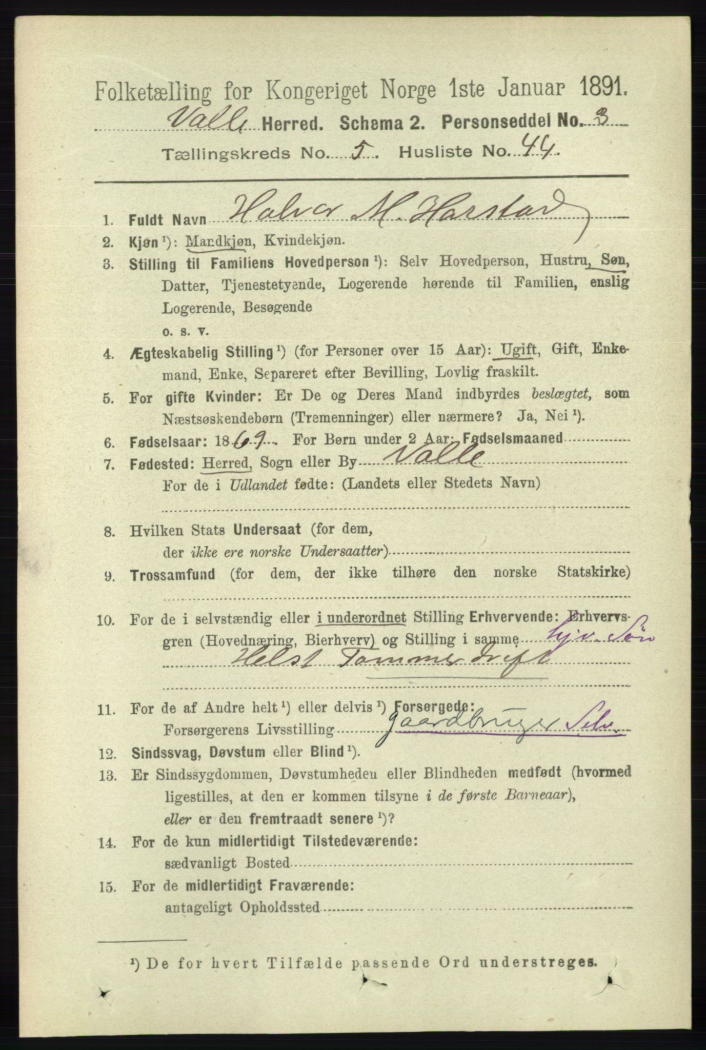 RA, 1891 census for 0940 Valle, 1891, p. 1629