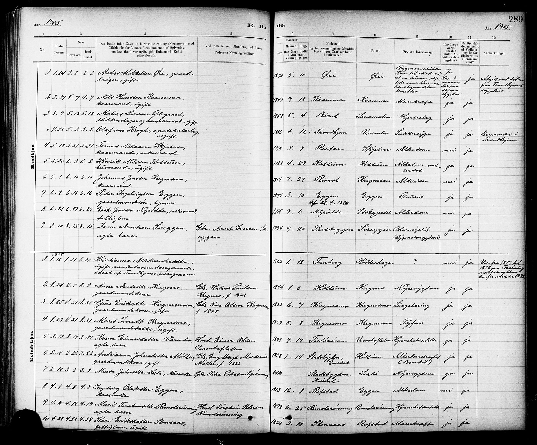 Ministerialprotokoller, klokkerbøker og fødselsregistre - Sør-Trøndelag, SAT/A-1456/691/L1094: Parish register (copy) no. 691C05, 1879-1911, p. 289