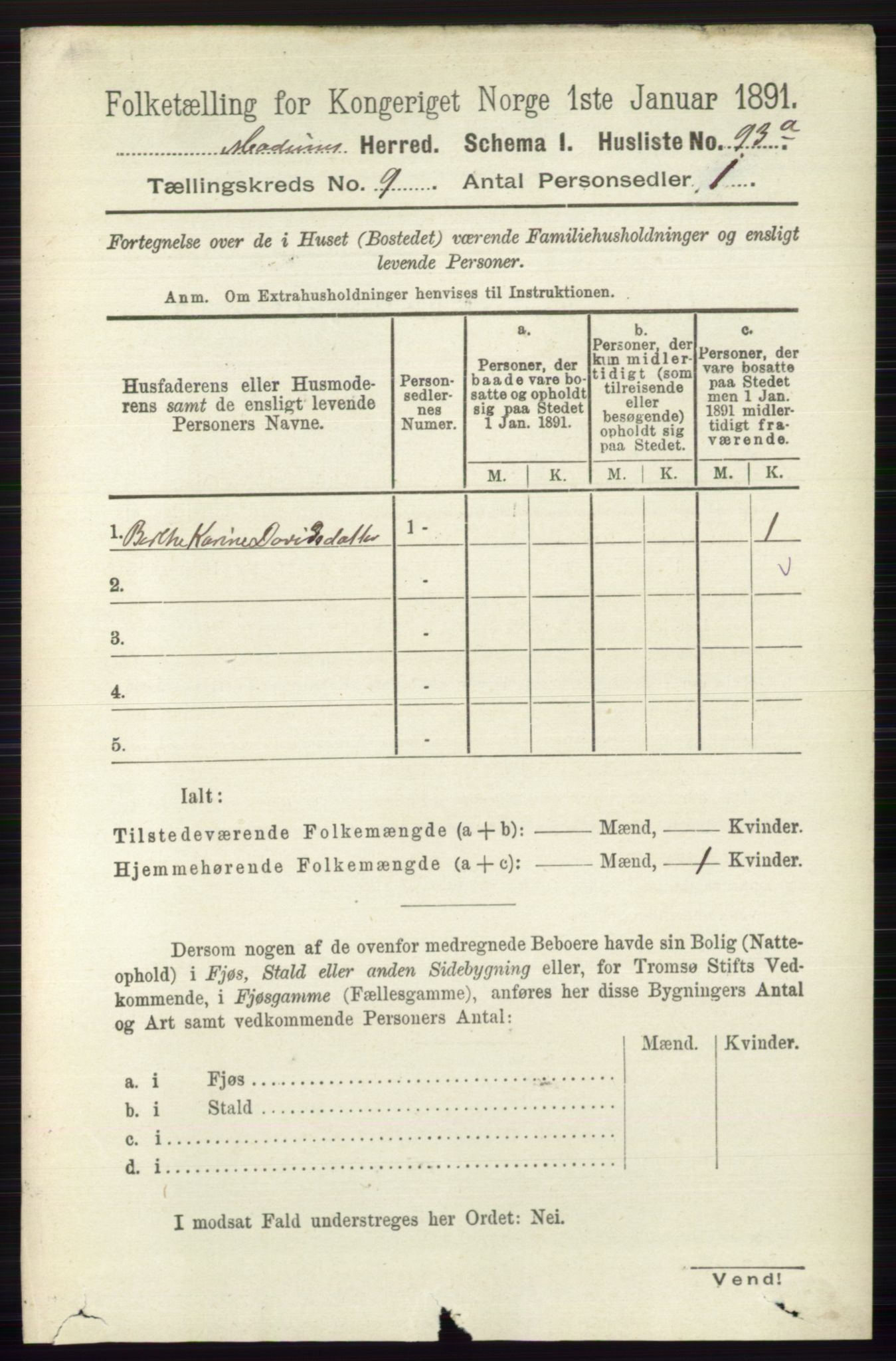 RA, 1891 census for 0623 Modum, 1891, p. 3451