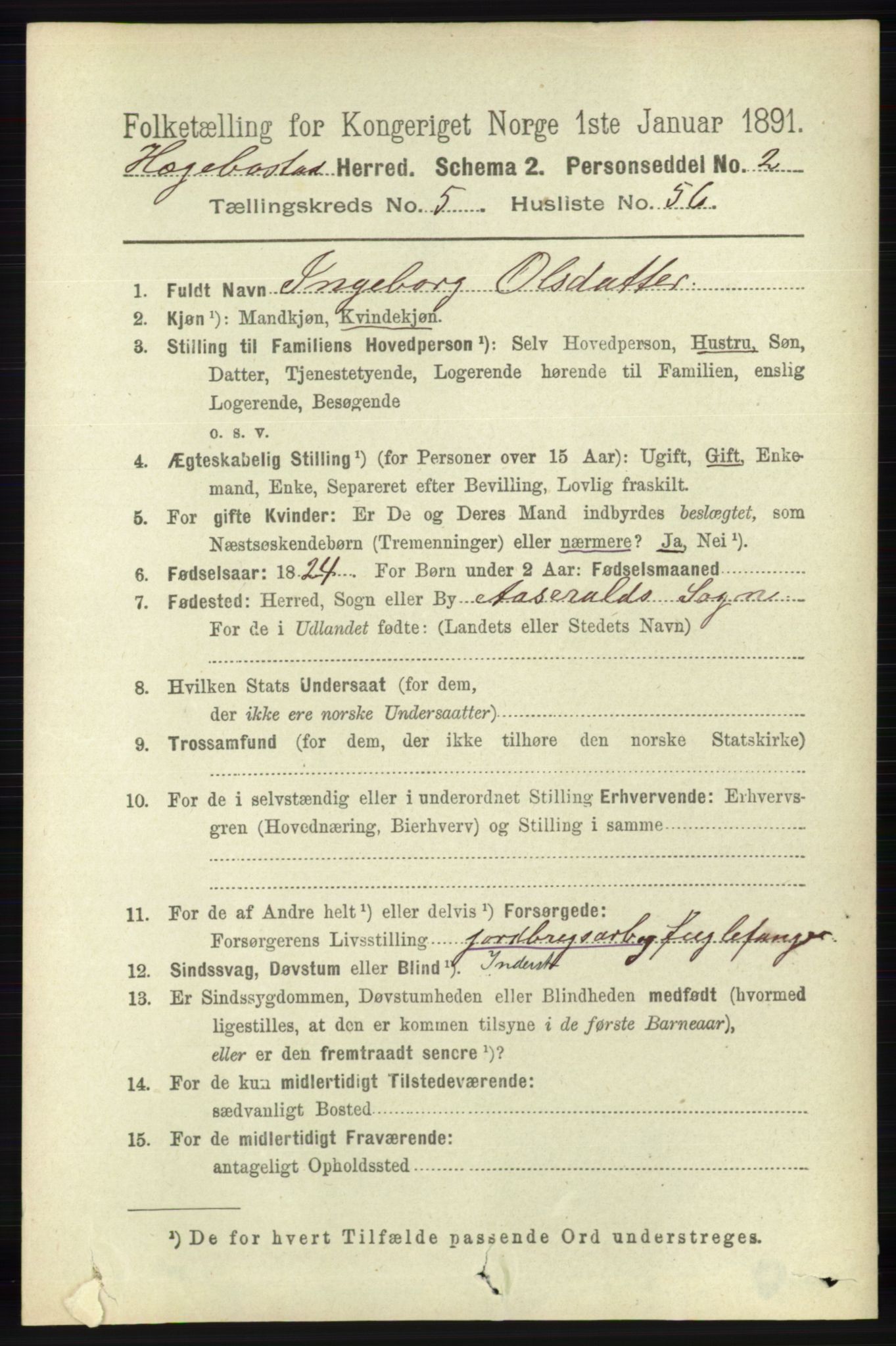 RA, 1891 census for 1034 Hægebostad, 1891, p. 1794