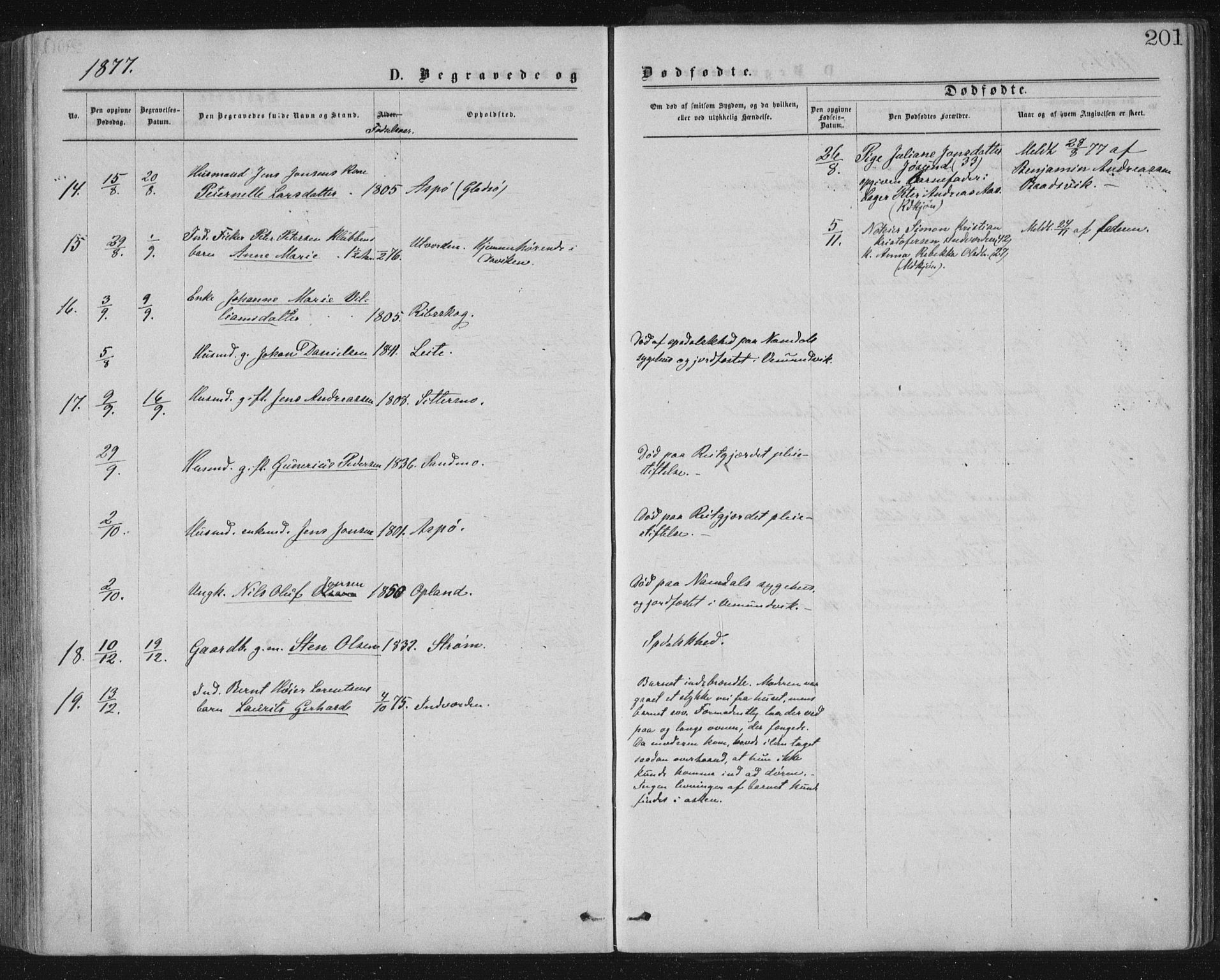 Ministerialprotokoller, klokkerbøker og fødselsregistre - Nord-Trøndelag, AV/SAT-A-1458/771/L0596: Parish register (official) no. 771A03, 1870-1884, p. 201