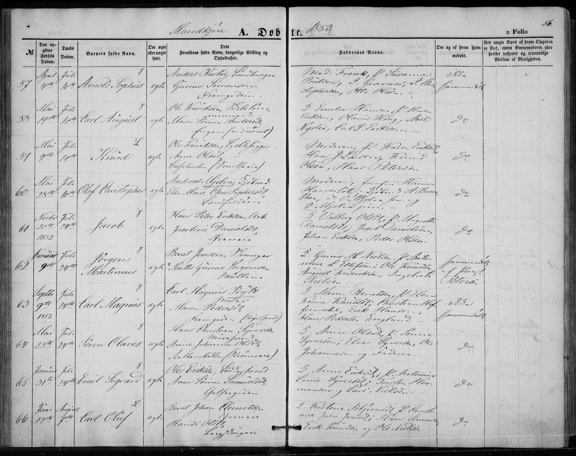 Bragernes kirkebøker, AV/SAKO-A-6/F/Fb/L0002: Parish register (official) no. II 2, 1848-1859, p. 56