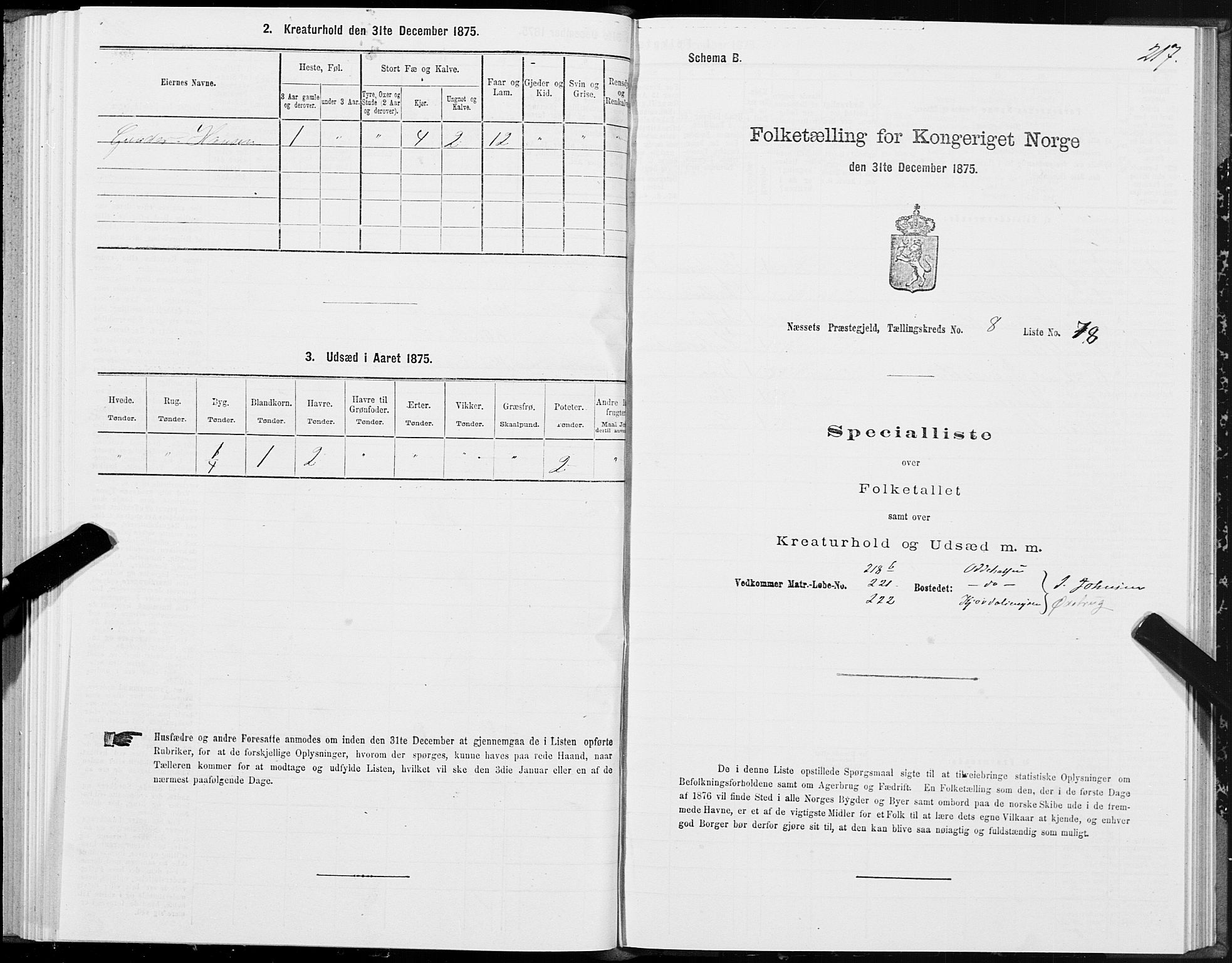 SAT, 1875 census for 1543P Nesset, 1875, p. 4217