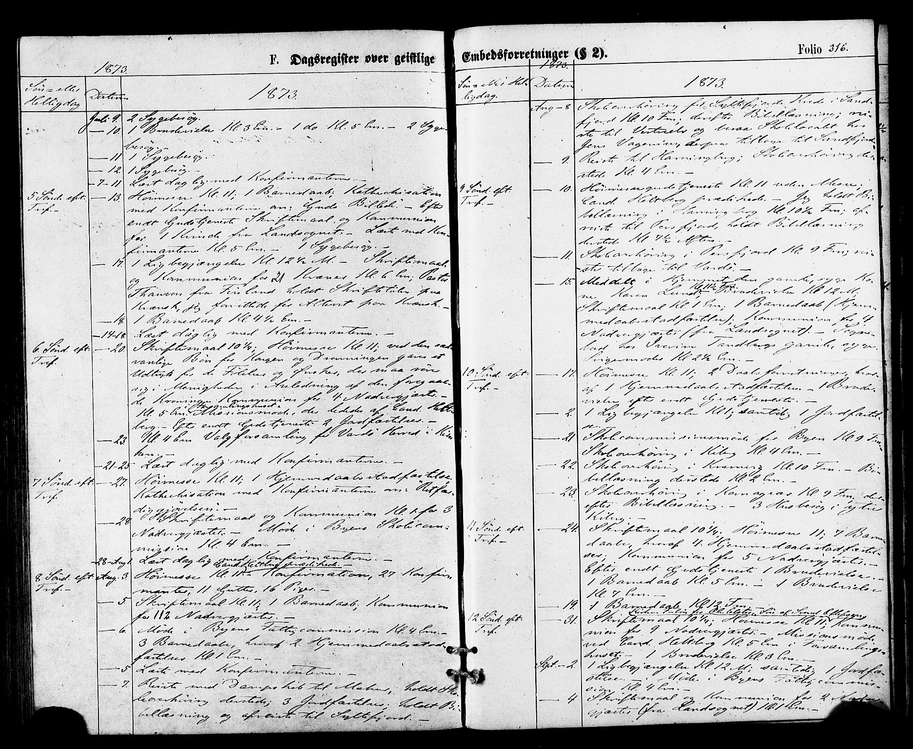 Vardø sokneprestkontor, SATØ/S-1332/H/Ha/L0005kirke: Parish register (official) no. 5, 1872-1878, p. 316