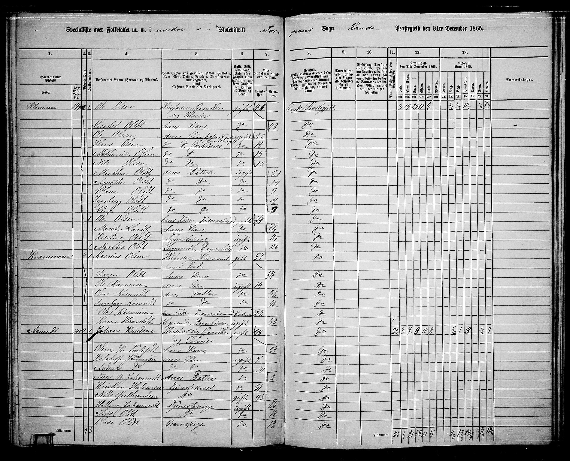 RA, 1865 census for Land, 1865, p. 150