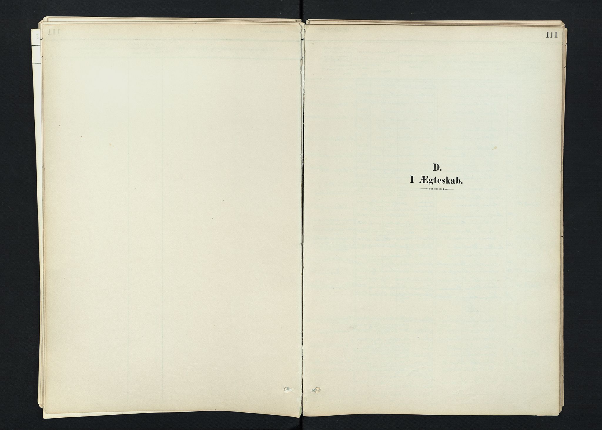 Stokke kirkebøker, SAKO/A-320/F/Fc/L0001: Parish register (official) no. III 1, 1884-1910, p. 111