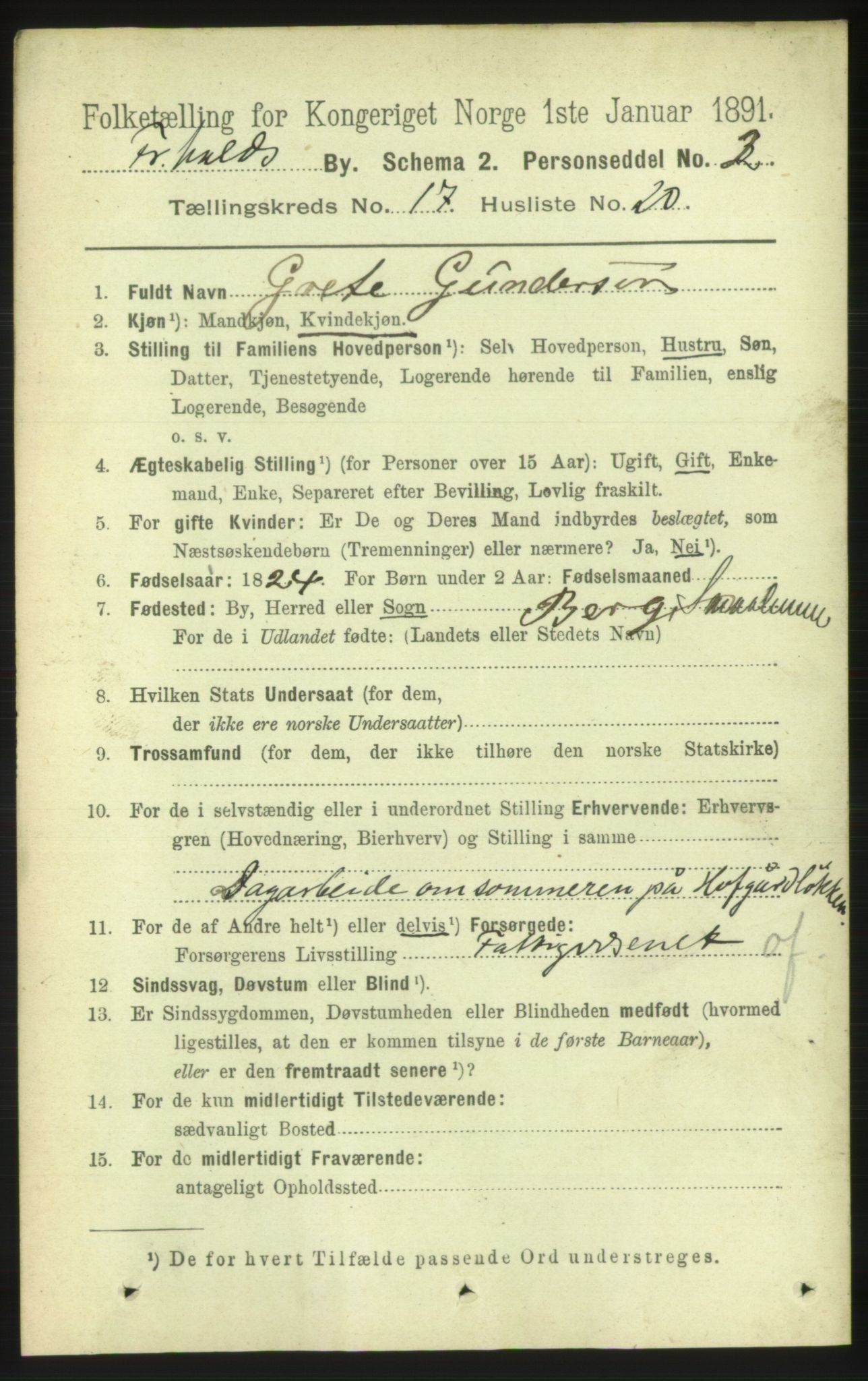RA, 1891 census for 0101 Fredrikshald, 1891, p. 11205